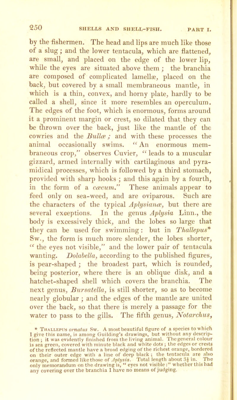 by the fishermen. The head and lips are much like those of a slug; and the lower tentacula, which are flattened, are small, and placed on the edge of the lower lip, while the eyes are situated above them ; the branchia are composed of complicated lamellae, placed on the back, but covered by a small membraneous mantle, in which is a thin, convex, and horny plate, hardly to he called a shell, since it more resembles an operculum. The edges of the foot, which is enormous, forms around it a prominent margin or crest, so dilated that they can be thrown over the back, just like the mantle of the cowries and the Bullae; and with these processes the animal occasionally swims. “ An enormous mem- braneous crop,” observes Cuvier, “ leads to a muscular gizzard, armed internally with cartilaginous and pyra- midical processes, which is followed by a third stomach, provided with sharp hooks ; and this again by a fourth, in the form of a caecum.” These animals appear to feed only on sea-weed, and are oviparous. Such are the characters of the typical Aplysiance, but there are several exceptions. In the genus Aplysia Linn., the body is excessively thick, and the lobes so large that they can be used for swimming : but in Thallepus* Sw., the form is much more slender, the lobes shorter, “ the eyes not visible,” and the lower pair of tentacula wanting. Dolabella, according to the published figures, is pear-shaped ; the broadest part, which is rounded, being posterior, where there is an oblique disk, and a hatchet-shaped shell which covers the branchia. The next genus, Bursatella, is still shorter, so as to become nearly globular ; and the edges of the mantle are united over the back, so that there is merely a passage for the water to pass to the gills. The fifth genus, Notarclius, * Tuallepi/s oj-natus Sw. A most beautiful figure of a species to which I give this name, is among Guilding’s drawings, but without any descrip- tion ; it was evidently finished from the living animal. Thegeneral colour is sea green, covered with minute black and white dots ; the edges or crests of the reflected mantle have a broad edging of the richest orange, bordered on their outer edge with a line of deep black; the tentacula are also orange, and formed like those of Aplysia. Total length about in. The only memorandum on the drawing is, “ eyes not visible whether this had any covering over the branchia I have no means of judging.