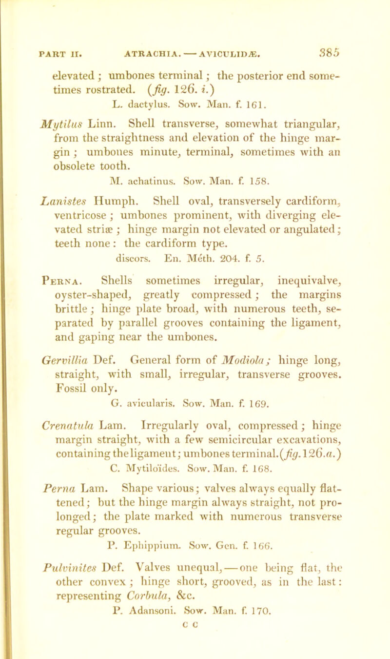 elevated ; umbones terminal; the posterior end some- times rostrated. (Jiff. 12 6. i.) L. dactylus. Sow. Man. f. 161. Mytilus Linn. Shell transverse, somewhat triangular, from the straightness and elevation of the hinge mar- gin ; umbones minute, terminal, sometimes with an obsolete tooth. M. achatinus. Sow. Man. f. 158. Lanistes Humph. Shell oval, transversely cardiform, ventricose ; umbones prominent, with diverging ele- vated striae ; hinge margin not elevated or angulated; teeth none : the cardiform type. discors. En. Metli. 204. f. 5. Perna. Shells sometimes irregular, inequivalve, oyster-shaped, greatly compressed; the margins brittle; hinge plate broad, with numerous teeth, se- parated by parallel grooves containing the ligament, and gaping near the umbones. Gervillia Def. General form of Modiola; hinge long, straight, with small, irregular, transverse grooves. Fossil only. G. avieularis. Sow. Man. f. 169. Crenatula Lam. Irregularly oval, compressed; hinge margin straight, with a few semicircular excavations, containing theligament; umbones terminal.(Jiff. 126.a.) C. Mytilo'ides. Sow. Man. f. 168. Penia Lam. Shape various; valves always equally flat- tened; but the hinge margin always straight, not pro- longed; the plate marked with numerous transverse regular grooves. P. Ephippium. Sow. Gen. f. 166. Pulvinites Def. Valves unequal, — one being flat, the other convex; hinge short, grooved, as in the last: representing Corbula, &c. P. Adansoni. Sow. Man. f. 170. C C