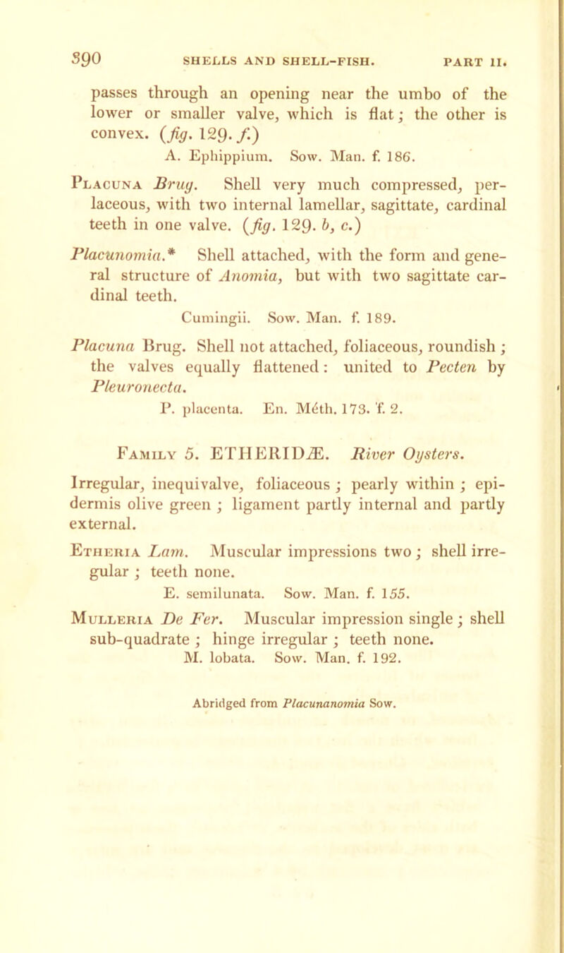 passes through an opening near the umbo of the lower or smaller valve, which is flat; the other is convex. (^<7.129./.) A. Ephippium. Sow. Man. f. 186. Placuna Bruy. Shell very much compressed, per- laceous, with two internal lamellar, sagittate, cardinal teeth in one valve, (fig. 129- b, c.) Placunomia. * Shell attached, with the form and gene- ral structure of Anomia, but with two sagittate car- dinal teeth. Cumingii. Sow. Man. f. 189. Placuna Brug. Shell not attached, foliaceous, roundish ; the valves equally flattened: united to Pecten by Pleuronecta. P. placenta. En. Mdth. 173. f. 2. Family 5. ETHERIDGE. River Oysters. Irregular, inequivalve, foliaceous ; pearly within ; epi- dermis olive green ; ligament partly internal and partly external. Etheria Lam. Muscular impressions two; shell irre- gular ; teeth none. E. semilunata. Sow. Man. f. 155. Mulleria De Fer. Muscular impression single; shell sub-quadrate ; hinge irregular ; teeth none. M. lobata. Sow. Man. f. 192. Abridged from Placunanomia Sow.