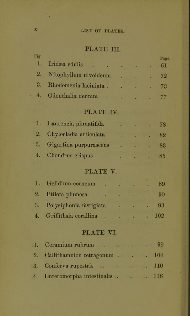 PLATE III. 1. Iridaea edulis .... . 61 2. Nitophjllum ulvoideuin . 72 3. Rliodomenia laciniata . . 73 4. Odonthalia dentata . 77 PLATE IV. 1. Laurencia pinnatifida . 78 2. Chylocladia articulata . 82 3. Gigartina purpurascens . 83 4. Chondrus crispus . 85 PLATE V. 1. Geiidium corneum . 89 2. Ptilota plumosa . 90 3. Polysiphonia fastigiata . 93 4. Griffithsia corallina . . 102 PLATE VI. 1. Ceramium rubrum . 99 2. Callithamnion tetragonum . . 104 3. Conferva rupestris . 110 4. Enteromorpha intestinalis . . 116