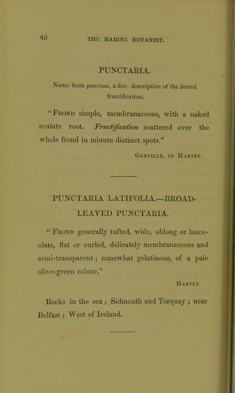 PUNCTARIA. Name from punctum, a dot: descriptive of the dotted fructification. “Frond simple, membranaceous, with a naked scutate root. Fructi/ication scattered over the whole frond in minute distinct spots.” Greville, in Harvey. PUNCTARIA LATIFOLIA.—BROAD- LEAVED PUNCTARIA. “ Frond generally tufted, wide, oblong or lance- olate, flat or curled, delicately membranaceous and semi-transparent; somewhat gelatinous, of a pale olive-green colour.” Harvey. Rocks in the sea ; Sidmouth and Torquay ; near Belfast: West of Ireland.