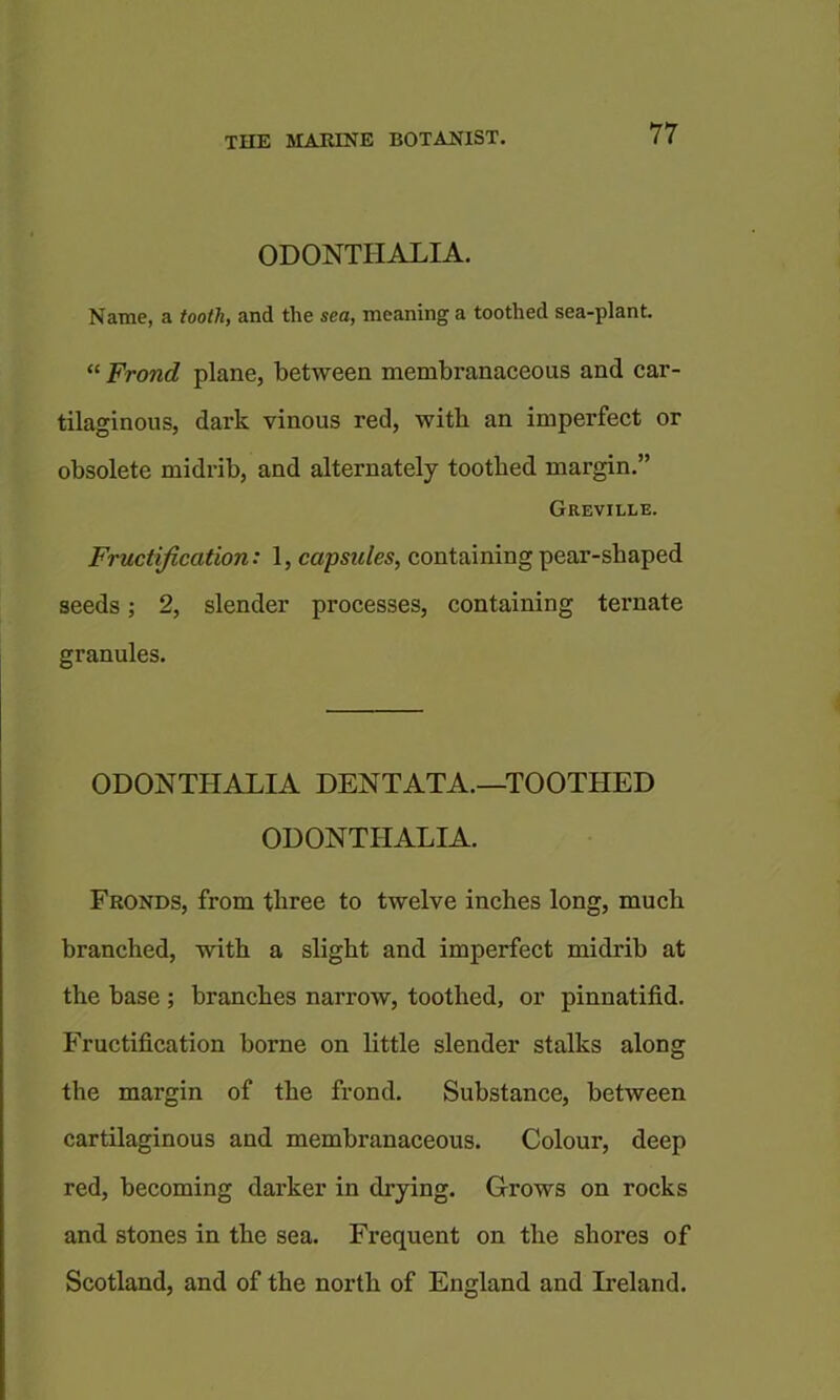 ODONTHALIA. Name, a tooth, and the sea, meaning a toothed sea-plant. “ Frond plane, between membranaceous and car- tilaginous, dark vinous red, with an imperfect or obsolete midrib, and alternately toothed margin.” Greville. Fructification: 1, capsules, containing pear-shaped seeds; 2, slender processes, containing ternate granules. ODONTHALIA DENTATA.—TOOTHED ODONTHALIA. Fronds, from three to twelve inches long, much branched, with a slight and imperfect midrib at the base ; branches narrow, toothed, or pinnatifid. Fructification borne on little slender stalks along the margin of the frond. Substance, between cartilaginous and membranaceous. Colour, deep red, becoming darker in drying. Grows on rocks and stones in the sea. Frequent on the shores of Scotland, and of the north of England and Ireland.