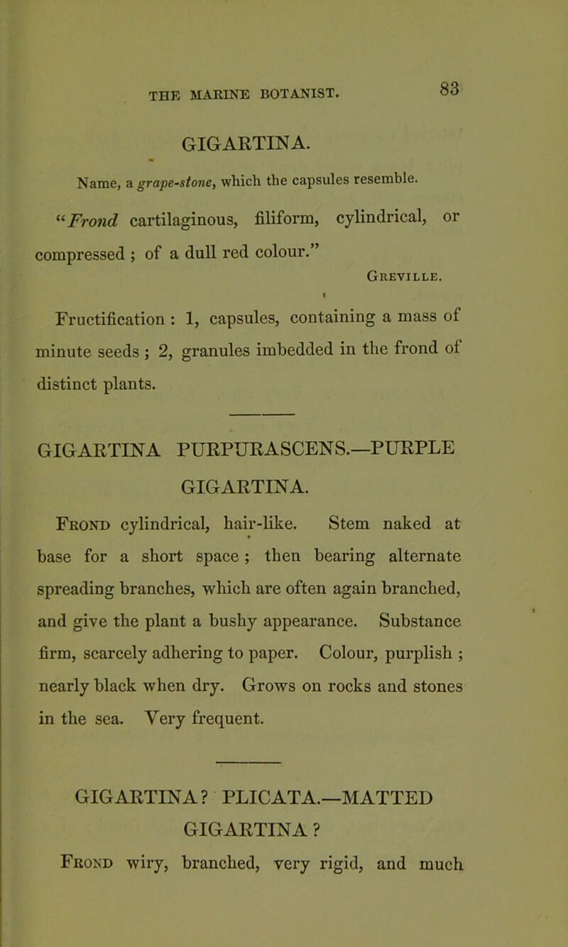 GIGARTINA. Name, & grape-stone, which the capsules resemble. Frond cartilaginous, filiform, cylindrical, or compressed ; of a dull red colour.” Greville. I Fructification : 1, capsules, containing a mass of minute seeds ; 2, granules imbedded in the frond of distinct plants. GIGARTINA PURPURASCENS.—PURPLE GIGARTINA. Frond cylindrical, hair-like. Stem naked at base for a short space; then bearing alternate spreading branches, which are often again branched, and give the plant a bushy appearance. Substance firm, scarcely adhering to paper. Colour, purplish ; nearly black when dry. Grows on rocks and stones in the sea. Very frequent. GIGARTINA? PLICATA.—MATTED GIGARTINA ? Frond wiry, branched, very rigid, and much