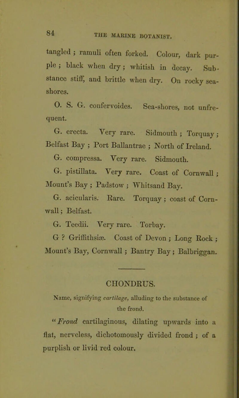 tangled ; ramuli often forked. Colour, dark pur- ple ; black when dry; whitish in decay. Sub- stance stifli^ and brittle when dry. On rocky sea- shores. O. S. G. confervoides. Sea-shores, not unfre- quent, G. erecta. Very rare. Sidmouth ; Torquay ; Belfast Bay ; Port Ballantrae ; North of Ireland. G. compressa. Very rare. Sidmouth, G. pistillata. Very rare. Coast of Cornwall ; Mount’s Bay ; Padstow ; Whitsand Bay. G. acicularis. Rare. Torquay ; coast of Corn- wall ; Belfast. G. Teedii. Very rare. Torbay. G ? GrifRthsias. Coast of Devon ; Long Rock ; Mount’s Bay, Cornwall; Bantry Bay ; Balbriggan, CHONDRUS. Name, signifying cartilage, alluding to the substance of the frond. Frond cartilaginous, dilating upwards into a flat, nerveless, dichotomously divided frond ; of a purplish or livid red colour.