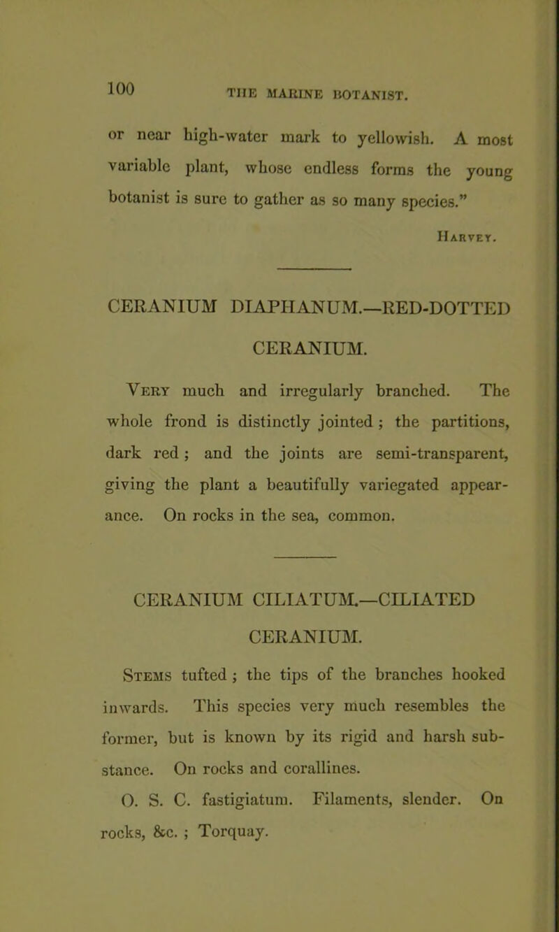 or near high-water mark to yellowish. A most variable plant, whose endless forms the young botanist is sure to gather as so many species.” Harvet. GERANIUM DIAPHANUM.—RED-DOTTED GERANIUM. Very mueh and irregularly branched. The whole frond is distinctly jointed; the partitions, dark red; and the joints are semi-transparent, giving the plant a beautifully variegated appear- ance. On rocks in the sea, common. GERANIUM GILIATUM.—GILIATED GERANIUM. Stems tufted ; the tips of the branches hooked inwards. This species very much resembles the former, but is known by its rigid and harsh sub- stance. On rocks and corallines. O. S. G. fastigiatura. Filaments, slender. On rocks, &c. ; Torquay.