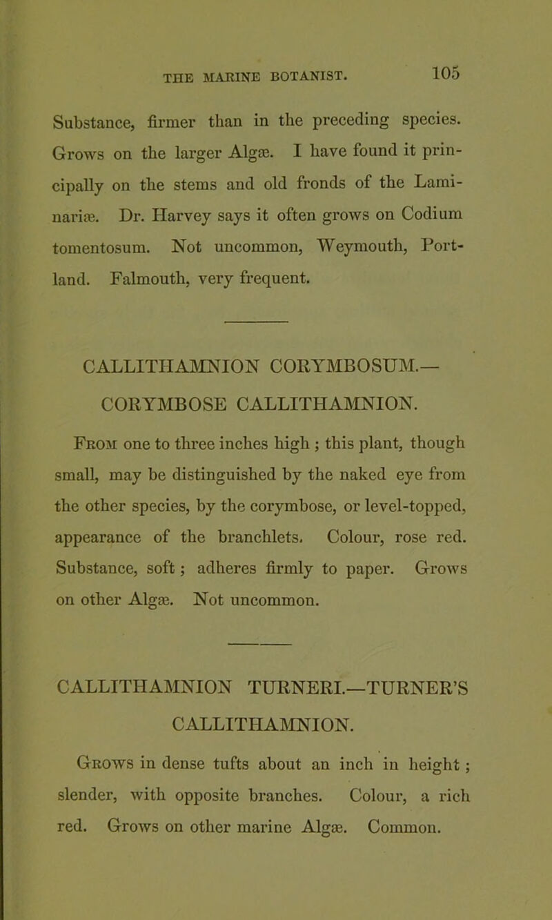 Substance, firmer than in the preceding species. Grows on the larger Algie. I have found it prin- cipally on the stems and old fronds of the Lami- nariie. Dr. Harvey says it often grows on Codium tomentosum. Not uncommon, Weymouth, Port- land. Falmouth, very frequent. CALLITHAMNION CORYMBOSUM.— CORYMBOSE CALLITHAMNION. From one to three inches high ; this plant, though small, may be distinguished by the naked eye from the other species, by the corymbose, or level-topped, appearance of the branchlets. Colour, rose red. Substance, soft; adheres firmly to paper. Grows on other Algai. Not uncommon. CALLITHAMNION TURNERI.—TURNER’S CALLITHAMNION. Grows in dense tufts about an inch in height; slender, with opposite branches. Colour, a rich red. Grows on other marine Algae. Common.