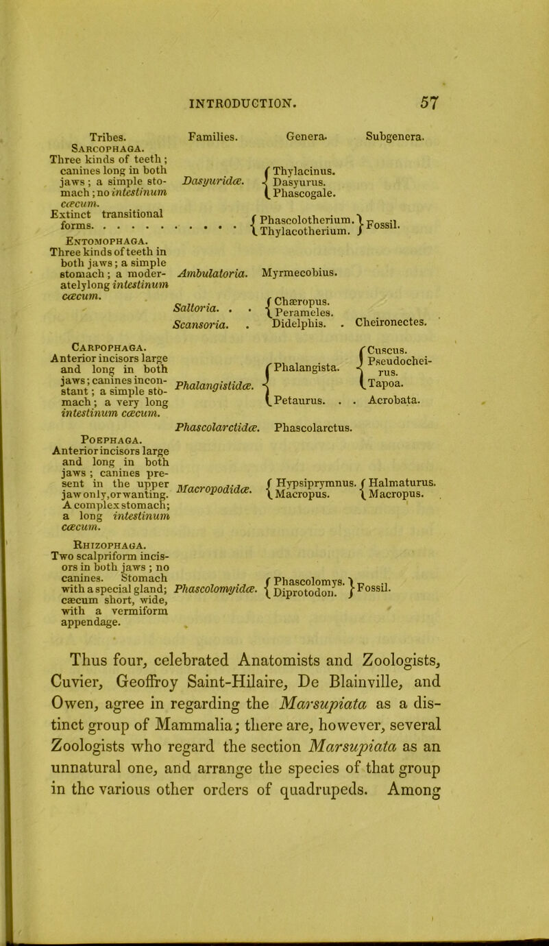 Families. Genera. Subgenera. ( Thylacinus. Basyuridce. Dasyurus. Phascogale. Entomophaga. Three kinds of teeth in both jaws; a simple stomach ; a moder- Ambulatoria. Myrmecobius. atelylong intestinum ccecum. Saltoria. . Scansoria. ( Chseropus. \Perameles. Didelphis. . Cheironectes. {Phascolotherium. \ Thylacotherium. / ^ Tribes. Sarcophaga. Three kinds of teeth ; canines long in both jaws ; a simple sto- mach ; no intestinum ccecum. Extinct transitional Carpophaga. Anterior incisors large and long in both jaws; canines incon- stant ; a simple sto- mach ; a very long intestinum caecum. Phalangistidce. { Phalangista. Petaurus. . { Cnscus. Pseudochei- rus. Tapoa. . Acrobata. Phascolarctidce, Phascolarctus. POEPHAGA. Anterior incisors large and long in both jaws ; canines pre- Macropodidce. caecum. sent in tne upper jaw only,or wanting. A complex stomach; a long intestinum Hypsipryranus. / Halmaturus. Macropus. \ Macropus. Rhizophaga. Two scalpriform incis- ors in both jaws ; no canines. Stomach f Phascolomys. I • with a special gland; Phascolomyidce. j Diprotodoii. caecum short, wide, '■ ^ with a vermiform appendage. Thus four, celebrated Anatomists and Zoologists, Cuvier, Geoffroy Saint-Hilaire, De Blainville, and Owen, agree in regarding the Marsupiata as a dis- tinct group of Mammalia; there are, however, several Zoologists who regard the section Marsupiata as an unnatural one, and arrange the species of that group in the various other orders of quadrupeds. Among