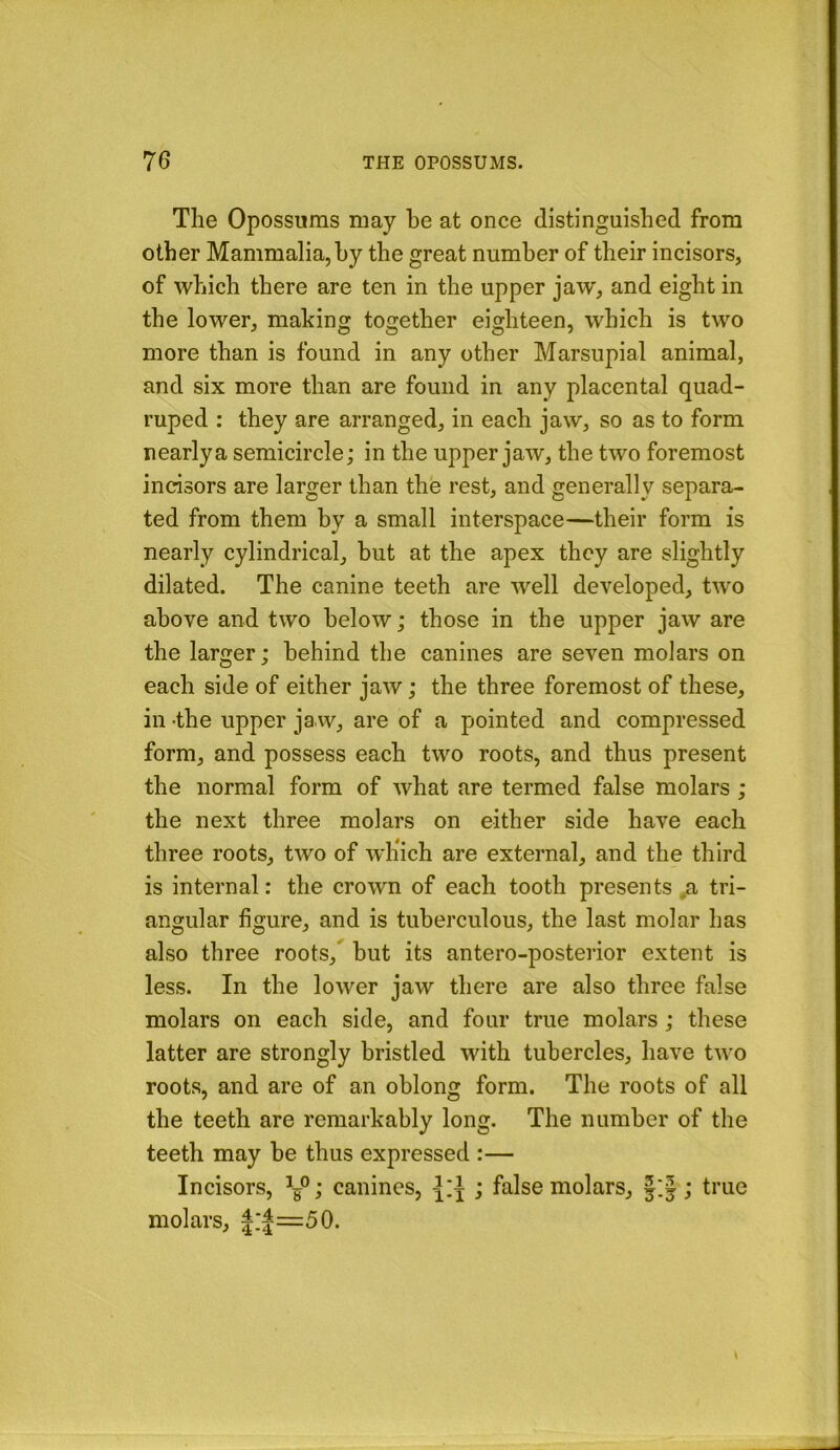 The Opossums may be at once distinguished from other Mammalia, hy the great number of their incisors, of which there are ten in the upper jaw, and eight in the lower, making together eighteen, which is two more than is found in any other Marsupial animal, and six more than are found in any placental quad- ruped ; they are arranged, in each jaw, so as to form nearly a semicircle; in the upper jaw, the two foremost incisors are larger than the rest, and generally separa- ted from them by a small interspace—their form is nearly cylindrical, but at the apex they are slightly dilated. The canine teeth are well developed, two above and two below; those in the upper jaw are the larger; behind the canines are seven molars on each side of either jaw; the three foremost of these, in -the upper jaw, are of a pointed and compressed form, and possess each two roots, and thus present the normal form of what are termed false molars ; the next three molars on either side have each three roots, two of which are external, and the third is internal: the crown of each tooth presents ,a tri- angular figure, and is tuberculous, the last molar has also three roots, but its antero-posterior extent is less. In the lower jaw there are also three false molars on each side, and four true molars; these latter are strongly bristled with tubercles, have two roots, and are of an oblong form. The roots of all the teeth are remarkably long. The number of the teeth may be thus expressed :— Incisors, ; canines, ; false molars, ; true molars, |:|=50.