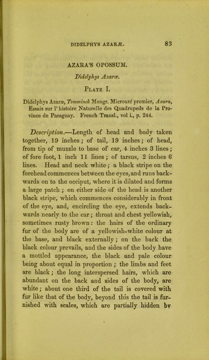 AZARA’S OPOSSUM. Didelpliys Azaroe. Plate I. Didelphys Azarae, Temminck Mongr. Microurd premier, Azara^ Essais sur I’histoire Naturelle des Quadrupeds de la Pro- vince de Paraguay. French Transl., vol i., p. 244. Description.—Length of head and body taken together, 19 inches; of tail, 19 inches; of head, from tip of ^muzzle to base of ear, 4 inches 3 lines; of fore foot, 1 inch 11 lines; of tarsus, 2 inches 6 lines. Head and neck white; a black stripe on the forehead commences between the eyes, and runs back- wards on to the occiput, where it is dilated and forms a large patch; on either side of the head is another black stripe, which commences considerably in front of the eye, and, encircling the eye, extends back- wards nearly to the ear; throat and chest yellowish, sometimes rusty brown: the hairs of the ordinary fur of the body are of a yellowish-white colour at the base, and black externally; on the back the black colour prevails, and the sides of the body have a mottled appearance, the black and pale colour being about equal in proportion ; the limbs and feet are black; the long interspersed hairs, which are abundant on the back and sides of the body, are white; about one third of the tail is covered with fur like that of the body, beyond this the tail is fur- nished with scales, which are partially hidden by