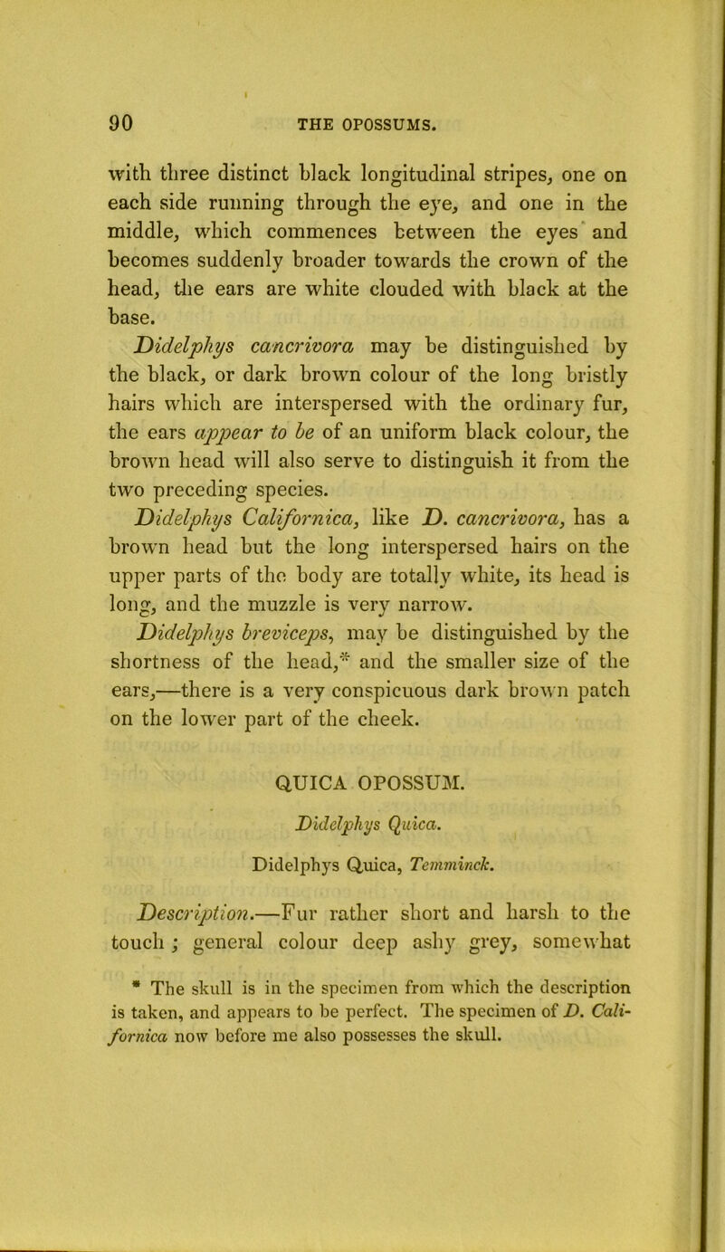 with three distinct black longitudinal stripes, one on each side running through the eye, and one in the middle, which commences between the eyes* and becomes suddenly broader towards the crown of the head, tlie ears are white clouded with black at the base. Didelphys cancrivora may be distinguished by the black, or dark brown colour of the long bristly hairs which are interspersed with the ordinary fur, the ears appear to he of an uniform black colour, the brown head will also serve to distinguish it from the two preceding species. Didelphys Californica, like T>. cancrivora, has a brow'n head but the long interspersed hairs on the upper parts of the body are totally white, its head is long, and the muzzle is very narrow. Didelphys hreviceps, may be distinguished by the shortness of the head,* and the smaller size of the ears,—there is a very conspicuous dark brown patch on the lower part of the cheek. QUICA OPOSSUM. Didelphys Quica. Didelphys Q,uica, Temniinck. Description.—Fur rather short and harsh to the touch ; general colour deep ashy grey, somewhat * The skull is in the specimen from which the description is taken, and appears to be perfect. The specimen of D. Cali- fornica now before me also possesses the skull.