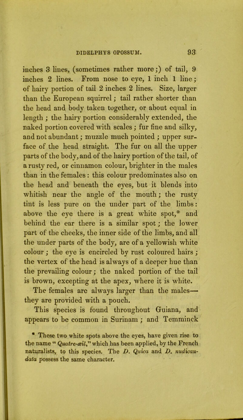 inches 3 lines, (sometimes rather more;) of tail, 9 inches 2 lines. From nose to eye, 1 inch 1 line; of hairy portion of tail 2 inches 2 lines. Size, larger than the European squirrel; tail rather shorter than the head and body taken together, or about equal in length ; the hairy portion considerably extended, the naked portion covered with scales; fur fine and silky, and not abundant; muzzle much pointed ; upper sur- face of the head straight. The fur on all the upper parts of the body, and of the hairy portion of the tail, of a rusty red, or cinnamon colour, brighter in the males than in the females : this colour predominates also on the head and beneath the eyes, but it blends into whitish near the angle of the mouth; the rusty tint is less pure on the under part of the limbs: above the eye there is a great white spot,* and behind the ear there is a similar spot; the lower part of the cheeks, the inner side of the limbs, and all the under parts of the body, are of a yellowish white colour; the eye is encircled by rust coloured hairs ; the vertex of the head is always of a deeper hue than the prevailing colour; the naked portion of the tail is brown, excepting at the apex, where it is white. The females are always larger than the males— they are provided with a pouch. This species is found throughout Guiana, and appears to he common in Surinam ; and Temminck • These two white spots above the eyes, have given rise to the name “ Qmtre-tsil^ which has been applied, by the French naturalists, to this species. The D. Quica and D. nudicau- data possess the same character.