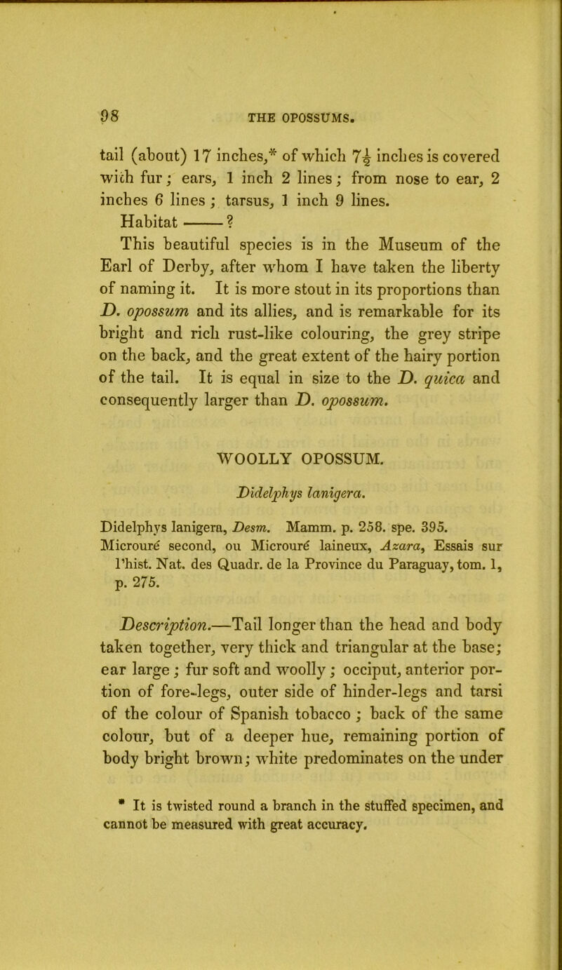 tail (about) 17 inches,* of which 7^ inches is covered wich fur; ears, 1 inch 2 lines; from nose to ear, 2 inches 6 lines; tarsus, 1 inch 9 lines. Habitat ? This beautiful species is in the Museum of the Earl of Derby, after whom I have taken the liberty of naming it. It is more stout in its proportions than jD. opossum and its allies, and is remarkable for its bright and rich rust-like colouring, the grey stripe on the back, and the great extent of the hairy portion of the tail. It is equal in size to the Z). quica and consequently larger than Z). opossum. WOOLLY OPOSSUM. Didelphys lanigera. Didelphys lanigera, Desm. Mamm. p. 258. spe. 395. Microure second, ou Microurd laineux, Azara^ Essais sur I’hist. Nat. des Quadr. de la Province du Paraguay, tom. 1, p. 275. Description.—Tail longer than the head and body taken together, very thick and triangular at the base; ear large; fur soft and woolly; occiput, anterior por- tion of fore-legs, outer side of hinder-legs and tarsi of the colour of Spanish tobacco; back of the same colour, but of a deeper hue, remaining portion of body bright brown; white predominates on the under • It is twisted round a branch in the stuffed specimen, and cannot be measured with great accuracy.