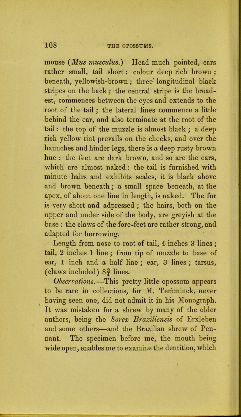 mouse (Mus musculus.) Head much pointed, ears rather small, tail short: colour deep rich brown; beneath, yellowish-brown; three' longitudinal black stripes on the back; the central stripe is the broad- est, commences between the eyes and extends to the root of the tail; the lateral lines commence a little behind the ear, and also terminate at the root of the tail: the top of the muzzle is almost black ; a deep rich yellow tint prevails on the cheeks, and over the haunches and hinder legs, there is a deep rusty brown hue : the feet are dark brown, and so are the ears, which are almost naked: the tail is furnished with minute hairs and exhibits scales, it is black above and brown beneath; a small space beneath, at the apex, of about one line in length, is naked. The fur is very short and adpressed; the hairs, both on the upper and under side of the body, are greyish at the base : the claws of the fore-feet are rather strong, and adapted for burrowing. Length from nose to root of tail, 4 inches 3 lines; tail, 2 inches 1 line; from tip of muzzle to base of ear, 1 inch and a half line ; ear, 3 lines ; tarsus, (claws included) 8f lines. Observations.—This pretty little opossum appears to be rare in collections, for M. Teihminck, never having seen one, did not admit it in his Monograph. It was mistaken for a shrew by many of the older authors, being the Sorex Braziliensis of Erxleben and some others—and the Brazilian shrew of Pen- nant. The specimen before me, the mouth being wide open, enables me to examine the dentition, which t