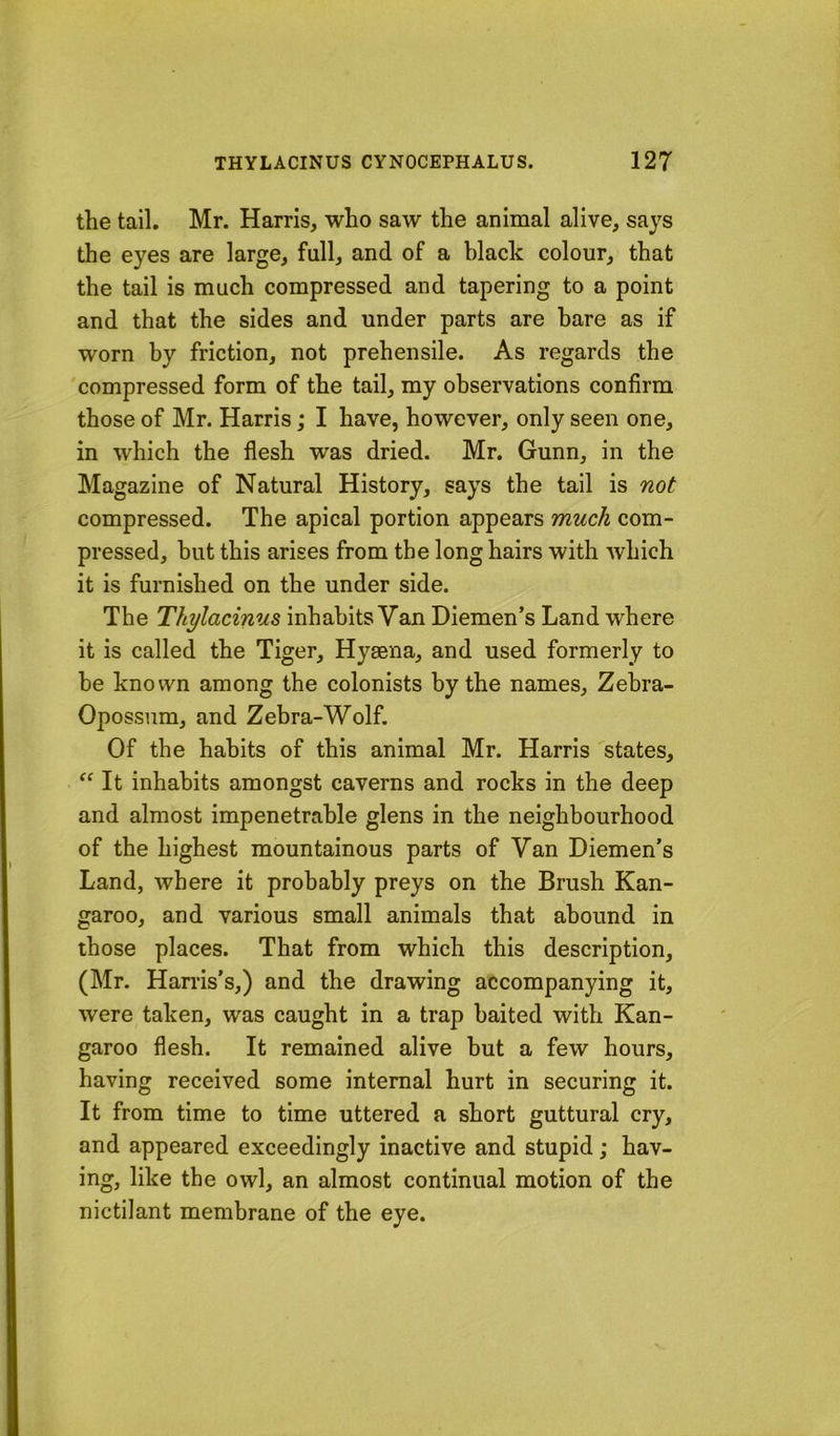 the tail. Mr. Harris, who saw the animal alive, says the eyes are large, full, and of a black colour, that the tail is much compressed and tapering to a point and that the sides and under parts are hare as if worn by friction, not prehensile. As regards the compressed form of the tail, my observations confirm those of Mr. Harris; I have, however, only seen one, in which the flesh was dried. Mr. Gunn, in the Magazine of Natural History, says the tail is not compressed. The apical portion appears much com- pressed, hut this arises from the long hairs with which it is furnished on the under side. The Thylacinus inhabits Van Diemen’s Land where it is called the Tiger, Hyaena, and used formerly to be known among the colonists by the names, Zebra- Opossum, and Zebra-Wolf. Of the habits of this animal Mr. Harris states. It inhabits amongst caverns and rocks in the deep and almost impenetrable glens in the neighbourhood of the highest mountainous parts of Van Diemen’s Land, where it probably preys on the Brush Kan- garoo, and various small animals that abound in those places. That from which this description, (Mr. Harris’s,) and the drawing accompanying it, were taken, was caught in a trap baited with Kan- garoo flesh. It remained alive but a few hours, having received some internal hurt in securing it. It from time to time uttered a short guttural cry, and appeared exceedingly inactive and stupid; hav- ing, like the owl, an almost continual motion of the nictilant membrane of the eye.