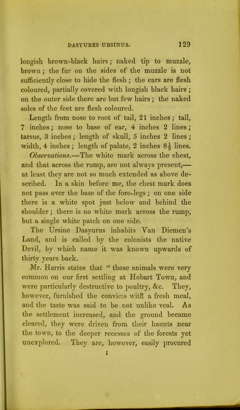 lorigish brown-black hairs; naked tip to muzzle, brown; the fur on the sides of the muzzle is not sufficiently close to hide the flesh; the ears are flesh coloured, partially covered with longish black hairs; on the outer side there are but few hairs ; the naked soles of the feet are flesh coloured. Length from nose to root of tail, 21 inches; tail, 7 inches; nose to base of ear, 4 inches 2 lines; tarsus, 3 inches; length of skull, 5 inches 2 lines; width, 4 inches; length of palate, 2 inches 8^ lines. Observations.—The white mark across the chest, and that across the rump, are not alw'ays present,— at least they are not so much extended as above de- scribed. In a skin before me, the chest mark does not pass over the base of the fore-legs; on one side there is a white spot just below and behind the shoulder; there is no white mark across the rump, but a single white patch on one side. The Ursine Dasyurus inhabits Van Diemen’s Land, and is called by the colonists the native Devil, by which name it was known upwards of thirty years back. Mr. Harris states that these animals were very common on our first settling at Hobart Town, and were particularly destructive to poultry, &c. They, however, furnished the convicts witll a fresh meal, and the taste w’as said to be not unlike veal. As the settlement increased, and the ground became cleared, they were driven from their haunts near the town, to the deeper recesses of the forests yet unexplored. They are, however, easily procured I \