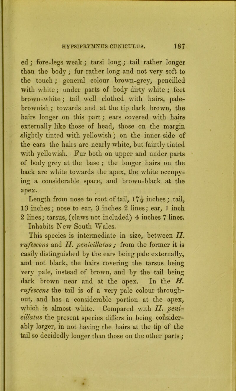 ed; fore-legs weak ; tarsi long; tail rather longer than the body; fur rather long and not very soft to the touch; general colour brown-grey, pencilled with white; under parts of body dirty white ; feet brown-white; tail well clothed with hairs, pale- brownish; towards and at the tip dark brown, the hairs longer on this part; ears covered with hairs externally like those of head, those on the margin slightly tinted with yellowish; on the inner side of the ears the hairs are nearly white, hut faintly tinted with yellowish. Fur both on upper and under parts of body grey at the base ; the longer hairs on the back are white towards the apex, the white occupy- ing a considerable space, and brown-black at the apex. Length from nose to root of tail, 17^ inches; tail, 13 inches; nose to ear, 3 inches 2 lines; ear, 1 inch 2 lines; tarsus, (claws not included) 4 inches 7 lines. Inhabits New South Wales. This species is intermediate in size, between II, rufescens and H. penicillatus ; from the former it is easily distinguished by the ears being pale externally, and not black, the hairs covering the tarsus being very pale, instead of brown, and by the tail being dark brown near and at the apex. In the H. rufescens the tail is of a very pale colour through- out, and has a considerable portion at the apex, which is almost white. Compared with H. peni- cillatus the present species differs in being consider- ably larger, in not having the hairs at the tip of the tail so decidedly longer than those on the other parts;