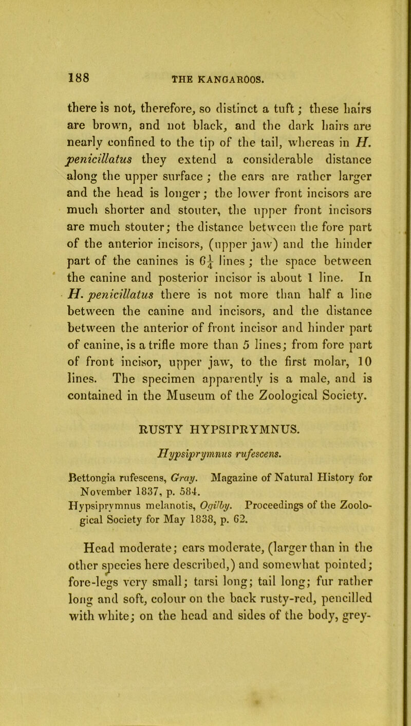 there is not, therefore, so distinct a tuft; these hairs are brown, and not black, and the dark hairs are nearly confined to the tip of the tail, whereas in H. penicillatus they extend a considerable distance along the upper surface ; the ears are rather larger and the head is longer; the lower front incisors are much shorter and stouter, the upper front incisors are much stouter; the distance between the fore part of the anterior incisors, (upper jaw) and the hinder part of the canines is lines ; the space between the canine and posterior incisor is about 1 line. In H. penicillatus there is not more than half a line between the canine and incisors, and the distance between the anterior of front incisor and hinder part of canine, is a trifle more than 5 lines; from fore part of front incisor, upper jaw, to the first molar, 10 lines. The specimen apparently is a male, and is contained in the Museum of the Zoological Society. RUSTY HYPSIPRYMNUS. Hypsiprymnus rufescens. Bettongia rufescens, G7-ay. Magazine of Natural History' for November 1837, p. 584. Hypsiprymnus melanotis, Opiihy. Proceedings of the Zoolo- gical Society for May 1838, p. 62. Head moderate; ears moderate, (larger than in the other s^iecies here described,) and somewhat pointed; fore-legs very small; tarsi long; tail long; fur rather long and soft, colour on the back rusty-red, pencilled with white; on the head and sides of the body, grey-