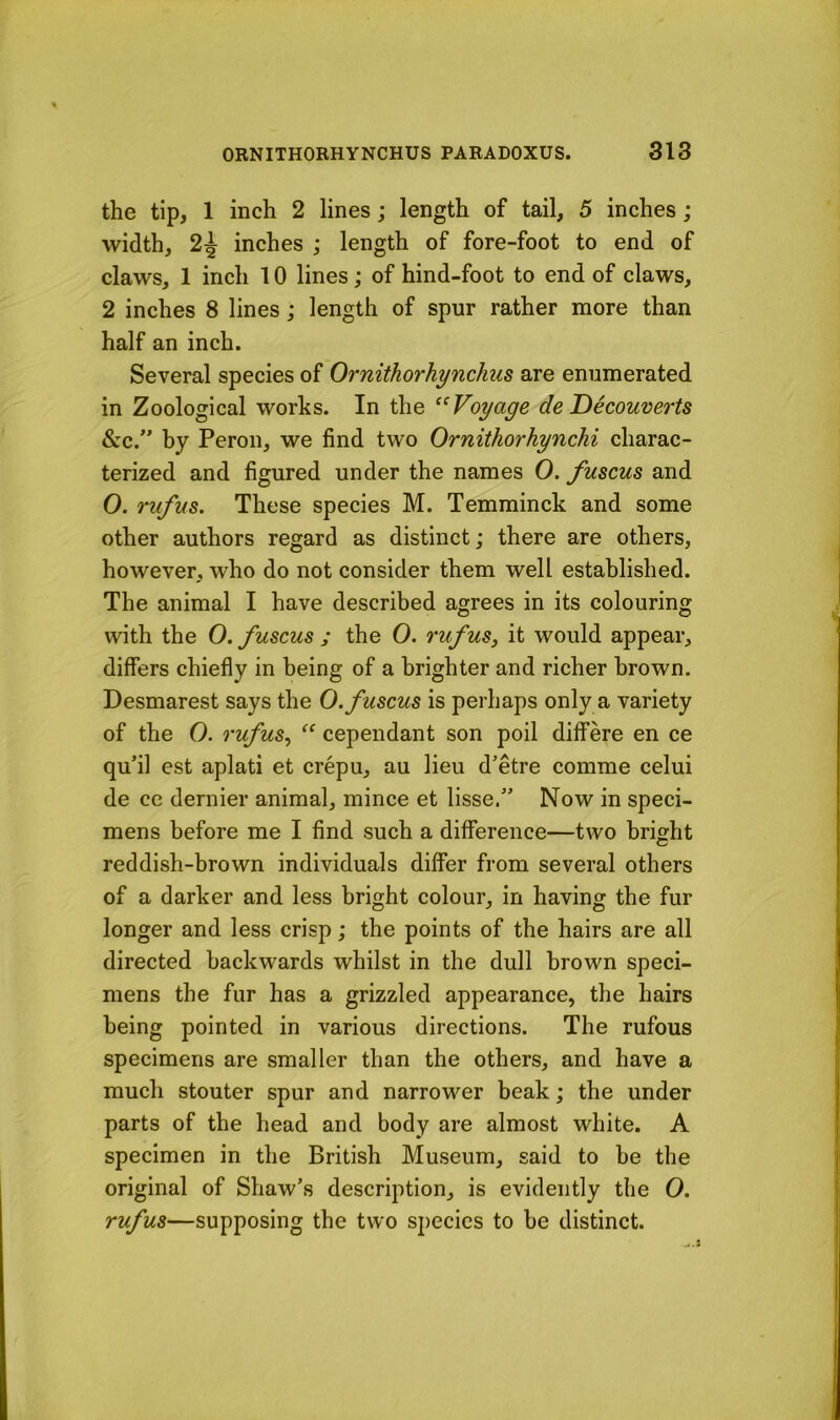 the tip, 1 inch 2 lines; length of tail, 5 inches; width, 2^ inches ; length of fore-foot to end of claws, 1 inch 10 lines; of hind-foot to end of claws, 2 inches 8 lines; length of spur rather more than half an inch. Several species of Ornithorhynchus are enumerated in Zoological works. In the ‘^Voyage de Decouverts &c.” by Peron, we find two Ornithorhynchi charac- terized and figured under the names 0. fuscus and 0. rufus. These species M. Temminck and some other authors regard as distinct; there are others, however, who do not consider them well established. The animal I have described agrees in its colouring with the 0. fuscus ; the 0. rufus, it would appear, differs chiefly in being of a brighter and richer brown. Desmarest says the 0. fuscus is perhaps only a variety of the 0. rufus, “ cependant son poil differe en ce qu’il est aplati et crepu, au lieu d’etre comme celui de cc dernier animal, mince et lisse.” Now in speci- mens before me I find such a difference—two bright reddish-brown individuals differ from several others of a darker and less bright colour, in having the fur longer and less crisp; the points of the hairs are all directed backwards whilst in the dull brown speci- mens the fur has a grizzled appearance, the hairs being pointed in various directions. The rufous specimens are smaller than the others, and have a much stouter spur and narrower beak \ the under parts of the head and body are almost white. A specimen in the British Museum, said to be the original of Shaw’s description, is evidently the 0. rufus—supposing the two sj)ecics to be distinct.