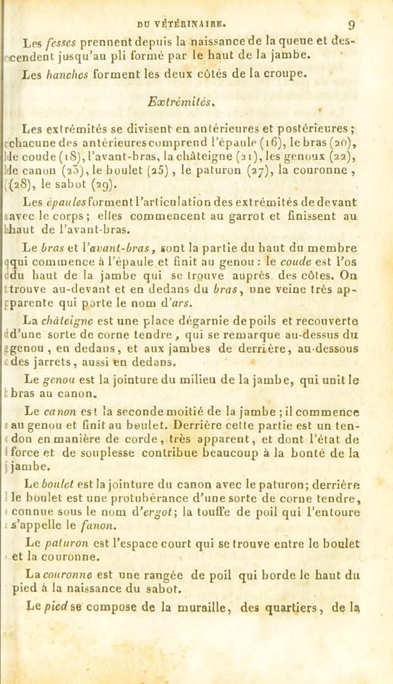 Les fesses prennent depuis la naissance de la queue et des- cendent jusqu’au pli formé par le haut de la jambe. Les hanches forment les deux côtés de la croupe. Extrémités. Les extrémités se divisent en antérieures et postérieures; cchacunedes antérieurescomprend l’épaule ( 16), le bras (20), Me coude (18), l’avant-bras, la châteigne (21), les genoux (22), Me canon (20), le boulet (a5), le paturon (27), la couronne , ((28), le sabot (29). Les épau/esforment l’articulation des extrémités de devaut avec le corps ; elles commencent au garrot et finissent au hhaut de l’avant-bras. Le bras et Vavant-bras, sont la partie du haut du membre qqui commence à l’épaule et finit au genou : le coude est l’os i:du haut de la jambe qui se trouve auprès des côtes. On ttrouve au-devant et en dedans du bras, une veine très ap- fparente qui porte le nom d’ars. La châieijpxe est une place dégarnie de poils et recouverte cd’une sorte de corne tendre, qui se remarque au-dessus du qgenou , en dedans, et aux jambes de derrière, au-dessous edes jarrets, aussi en dedans. Le genou est la jointure du milieu de la jambe, qui unit le tbras au canon. Le canon es t la seconde moitié de la jambe ; il commence : au genou et finit au boulet. Derrière cette partie est un ten- < don en manière de corde, très apparent, et dont l’état de force et de souplesse contribue beaucoup à la bonté de la 1 jambe. Le boulet est la jointure du canon avec le paturon; derrière le boulet est une protubérance d’une sorte de corne tendre, ( connue sous le nom d’ergot; la touffe de poil qui l’entoure : s’appelle le fanon. Le paturon est l’espace court qui se trouve entre le boulet et la couronne. La couronne est une rangée de poil qui borde le haut du pied à la naissance du sabot. Le pied se compose de la muraille, des quartiers, de la