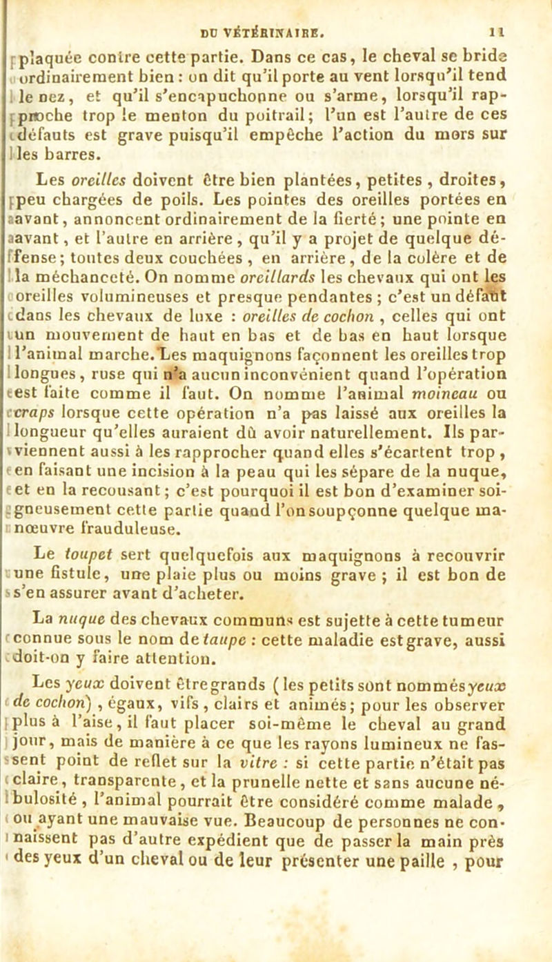 plaquée contre cette partie. Dans ce cas, le cheval se bride ordinairement bien : on dit qu’il porte au vent lorsqu'il tend leDez, et qu’il s’encapuchonne ou s’arme, lorsqu’il rap- ; proche trop le menton du poitrail; l’un est l’autre de ces défauts est grave puisqu’il empêche l’action du mors sur l ies barres. Les oreilles doivent être bien plantées, petites , droites, ppeu chargées de poils. Les pointes des oreilles portées en aavant, annoncent ordinairement de la fierté ; une pointe en aavant, et l’autre en arrière, qu’il y a projet de quelque dé- ffense; tontes deux couchées , en arrière, de la colère et de la méchanceté. On nomme oreillards les chevaux qui ont les oreilles volumineuses et presque pendantes ; c'est un défait edans les chevaux de luxe : oreilles de cochon , celles qui ont tun mouvement de haut en bas et de bas en haut lorsque l’animal marche.Les maquignons façonnent les oreilles trop : longues, ruse qui n’a aucun inconvénient quand l’opération test laite comme il faut. On nomme l’animal moineau ou i craps lorsque cette opération n’a pas laissé aux oreilles la longueur qu’elles auraient dù avoir naturellement. Ils par- vviennent aussi à les rapprocher quand elles s’écartent trop , en faisant une incision à la peau qui les sépare de la nuque, e et en la recousant ; c’est pourquoi il est bon d’examiner soi- gneusement cette partie quaud l’on soupçonne quelque ma- cnœuvre frauduleuse. Le toupet sert quelquefois aux maquignons à recouvrir une fistule, une plaie plus ou moins grave ; il est bon de s s’en assurer avant d’acheter. La nuque des chevaux communs est sujette à cette tumeur r connue sous le nom de taupe : cette maladie est grave, aussi doit-on y faire attention. Les yeux doivent êtregrands ( les petits sont nommésyeoæ de cochon) , égaux, vifs , clairs et animés; pour les observer [plus à l’aise, il faut placer soi-même le cheval au grand jour, mais de manière à ce que les rayons lumineux ne fas- sent point de reflet sur la vitre: si cette partie n’était pas claire, transparente, et la prunelle nette et sans aucune né- tbulosité, l’animal pourrait être considéré comme malade, ou ayant une mauvaise vue. Beaucoup de personnes ne con- i naissent pas d’autre expédient que de passer la main près 1 des yeux d’un cheval ou de leur présenter une paille , pour