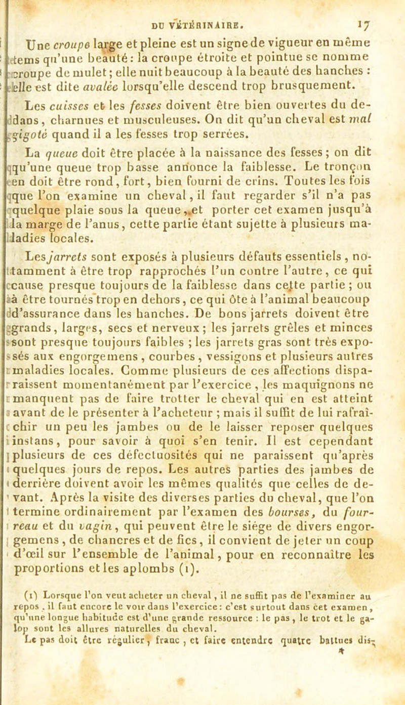 Dü VÉTÉRINAIRE. >7 Une croupe large et pleine est un signe de vigueur en même tems qu’une beauté: la croupe étroite et pointue se nomme troupe de mulet ; elle nuit beaucoup à la beauté des hanches : elle est dite avalée lorsqu’elle descend trop brusquement. Les cuisses et les fesses doivent être bien ouvertes du de- ddaos, charnues et musculeuses. On dit qu’un cheval est mal gigoté quand il a les fesses trop serrées. La queue doit être placée à la naissance des fesses ; on dit qqu’une queue trop basse annonce la faiblesse. Le tronçon ten doit être rond, fort, bien fourni de crins. Toutes les fois qque l’on examine un cbeval, il faut regarder s’il n’a pas quelque plaie sous la queue,.et porter cet examen jusqu’à la marge de l’anus, cette partie étant sujette à plusieurs rna- Idadies locales. Les jarrets sont exposés à plusieurs défauts essentiels , no- titamment à être trop rapprochés l’un contre l’autre, ce qui ccause presque toujours de la faiblesse dans cejte partie; ou àà être tournés trop en dehors, ce qui ôte à l’animal beaucoup dd’assurance dans les banches. De bons jarrets doivent être ggrands, larges, secs et nerveux; les jarrets grêles et minces ssont presque toujours faibles ; les jarrets gras sont très expo- sés aux engorgemens , courbes , vessigons et plusieurs autres maladies locales. Comme plusieurs de ces affections dispa- rraissent momentanément par l’exercice , les maquignons ne i manquent pas de faire trotter le cheval qui en est atteint 3 avant de le présenter à l’acheteur ; mais il suffit de lui rafrai- cchir un peu les jambes ou de le laisser reposer quelques iinstans, pour savoir à quoi s’en tenir. Il est cependant [plusieurs de ces défectuosités qui ne paraissent qu’après i quelques jours de repos. Les autres parties des jambes de i derrière doivent avoir les mêmes qualités que celles de de- ’ vant. Après la visite des diverses parties du cheval, que l’on l termine ordinairement par l’examen des bourses, du four- i reau et du vagin, qui peuvent être le siège de divers engor- gemens , de chancres et de fies, il convient de jeter un coup d’œil sur l’ensemble de l’animal, pour en reconnaître les proportions et les aplombs (i). (0 Lorsque l’on veut acheter un cheval, il ne suffit pas de l’examiner au repos . il faut encore le voir dans l’exercice : c’est surtout dans cet examen, qu’une longue habitude est d’une grande ressource : le pas, le trot et le ga- lop sont les allures naturelles du cheval.