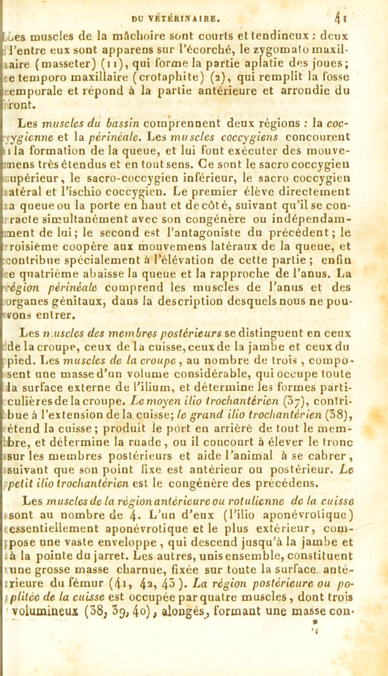 .Les muscles de la mâchoire sont courts et tendineux : deux il’entre eux sont apparens sur l’écorché, le zygomato maxil- aaire (masseter) (11 ), qui l'orme la partie aplatie des joues; ee temporo maxillaire (crotaphite) (2), qui remplit la fosse t emporale et répond à la partie antérieure et arrondie du r>'ront. Les muscles du bassin comprennent deux régions : la coc- \ygicnne et la périnéale. Les muscles coccygiens concourent nia formation de la queue, et lui font exécuter des mouve- imens très étendus et en tout sens. Ce sont le sacro coccygieu supérieur, le sacro-coccygien inférieur, le sacro coccygien aatéral et l’ischio coccygien. Le premier élève directement aa queue ou la porte en haut et de côté, suivant qu’il se con- rracte simultanément avec son congénère ou indépendam- ment de lui; le second est l’antagoniste du précédent; le Troisième coopère aux mouvemens latéraux de la queue, et xonlribue spécialement à l’élévation de cette partie ; enfin ee quatrième abaisse la queue et la rapproche de l’anus. La région périnéale comprend les muscles de l’anus et des organes génitaux, dans la description desquels nous ne pou- wons entrer. Les muscles des membres postérieurs se distinguent en ceux ide la croupe, ceux de la cuisse, ceux de la jambe et ceux du pied. Les muscles de la croupe, au nombre de trois , compo- sent une masse d’un volume considérable, qui occupe toute Ja surface externe de l’ilium, et détermine les formes parti- culières de la croupe. Le moyen ilio trochantérien (07), contri- bue à l’extension delà cuisse; le grand ilio trochantérien (38), étend la cuisse; produit le port en arriéré de tout le mem- bbre, et détermine la ruade, ou il concourt à élever le tronc fsur les membres postérieurs et aide l’animal à se cabrer, ^suivant que son point fixe est antérieur ou postérieur. Le petit ilio trochantérien est le congénère des précédens. Les muscles de la région antérieure ou roluticnne de la cuisse .sont au nombre de 4- L’un d’eux (l’ilio aponévroliquc) cessentieilement aponévrotique et le plus extérieur, com- pose une vaste enveloppe , qui descend jusqu’à la jambe et .à la pointe du jarret. Les autres, unis ensemble, constituent tune grosse masse charnue, fixée sur toute la surface, anté- irieure du fémur (4i> 4a» 4^ )• La région postérieure ou po- I plitée de la cuisse est occupée par quatre muscles, dont trois volumineux (38, 3g, 4°), alongés, formant une masse con> « *4