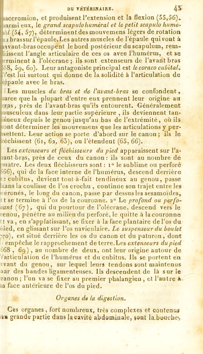 DU TÙTiHIHAIRB. 4^ aaccromion, et produisent l’extension et la flexion (55,56). armi eux, le grand scapulohumerai et le petit scapulo liumo• l'i/ (54, 57), déterminent des mouvemens légers de rotation j brassurl’épaule. Les autres muscles de l’épaule qui vont à nvant-bras occupent le bord postérieur du scapulum, rem- Hissent l’angle articulaire de ces os avec l’humérus, et se rrminent à l’olécrane; ils sont extenseurs de l’avant bras >$8, 59, 60). Leur antagoniste principal est le coraco cubital. Vest lui surtout qui donne de la solidité à l’articulation de eppaule avec le bras. Les muscles du bras et de l'avant-bras se confondent, anree que la plupart d’entre eux prennent leur origine au ras, près de l’avant-bras qu’ils entourent. Généralement musculeux dans leur partie supérieure , ils deviennent tan- lineux depuis le genou jusqu’au bas de l’extrémité, où ils jnt déterminer les mouvemens que les articulations y per- mettent. Leur action se porte d’abord sur le canon ; ils le échissent (61, 6a, 65), ou l’étendent (65, 66). Les extenseurs et fléchisseurs du pied apparaissent sur l’a* aant-bras, près de ceux du canon: ils sont au nombre dé 'inatre. Les deux fléchisseurs sont : i° le sublime ou perforé 56), qui de la face interne de l'humérus, descend derrière î cubitus, devient tout à-fait tendineux au genou, passe .ans la coulisse de l’os crochu , continue son trajet entre les | éronés, le long du canon, passe par dessus les sesamoïdes, t se termine à l’os de la couronne. a° Le profond ou perfo- ant (67), qui du pourtour de l’olécrane, descend vers le ■ enou, pénètre au milieu du perforé, le quitte à la couronne 11 va , en s’applatissant, se fixer à la face plantaire de l’os du ied, en glissant sur l’os naviculaire. Le suspenseur du boulet •70), est situé derrière les os du canon et du paturon, dont empêche le rapprochement de terre. Les extenseurs du pied 68 , 69), au nombre de deux, ont leur origine autour de /articulation de l’humérus et du cubitus, ils se portent en vant du genou, sur lequel leurs tendons sont maintenus iar dès bandes ligamenteuses. Ils descendent de là sur le sanon; l’un va se fixer au premier phalangien, et l’autre à a face antérieure de l’os du pied. Organes de la digestion. Ces organes, fort nombreux, très complexes et contenus è» grande partie dans la cavité abdominale, sont la-bouche-;,