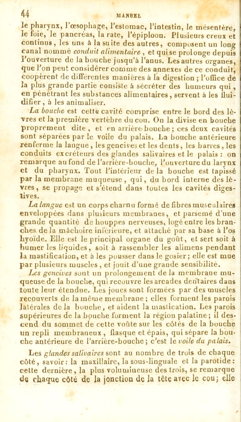 le pharynx, l'oesophage, l’estomac, l’intestin, le mésentère, le ioie, le pancréas, la rate, l’épiploon. Plusieurs creux et continus, les uns à la suite des autres, composent un long canal nommé conduit alimentaire, et qui se prolonge depuis l’ouverture de la bouche jusqu’à l’anus. Les autres organes, que l’on peut considérer comme des annexes de ce conduit, coopèrent de differentes manières à la digestion ; l'office de la plus grande partie consiste à sécréter des humeurs qui, en pénétrant les substances alimentaires, servent à les flui- difier, à les animaliser. La bouche est cette cavité comprise entre le bord des lè- vres et la première vertèbre du cou. On la divise en bouche proprement dite, et en arrière-bouche ; ces deux cavités sont séparées par le voile du palais. La bouche antérieure renferme la langue, les gencives et les dents, les barres, les conduits excréteurs des glandes salivaires et le palais : on remarque au fond de l’arrière-bouche, l’ouverture du larynx et du pharynx. Tout l’intérieur de la bouche est tapissé par la membrane muqueuse, qui, du bord interne des lè- vres , se propage et s’étend dans toutes les cavités diges- tives. La langue est un corps charnu formé de fibres musculaires enveloppées dans plusieurs membranes, et parsemé d’une grande quantité de houppes nerveuses, logé entre les bran- ches de la mâchoire inférieure, et attaché par sa base à l’os hyoïde. Elle est le principal organe du goût, et sert soit à humer les liquides, soit à rassembler les alimens pendant la mastification, et à les pousser dans le gosier; elle est mue par plusieurs muscles , et jouit d’une grande sensibilité. Les gencives sont un prolongement delà membrane mu- queuse de la bouche, qui recouvre les arcades den'taires dans toute leur étendue. Les joues sont formées par des muscles recouverts de la môme membrane ; elles forment les parois latérales delà bouche, et aident la mastication. Les parois supérieures de la bouche forment la région palatine; il des- cend du sommet de celte voûte sur les côtés de la bouche un repli membraneux , fiasque et épais, qui sépare la bou- che antérieure de l’arrière-bouchc; c’est le voile du palais. Les glandes salivaires sont au nombre de trois de chaque côté, savoir: la maxillaire, la sous-linguale et la parotide: cette dernière, la plus volumineuse des trois, se remarque de chaque côté de la jonction de la tôte avec le couj elle