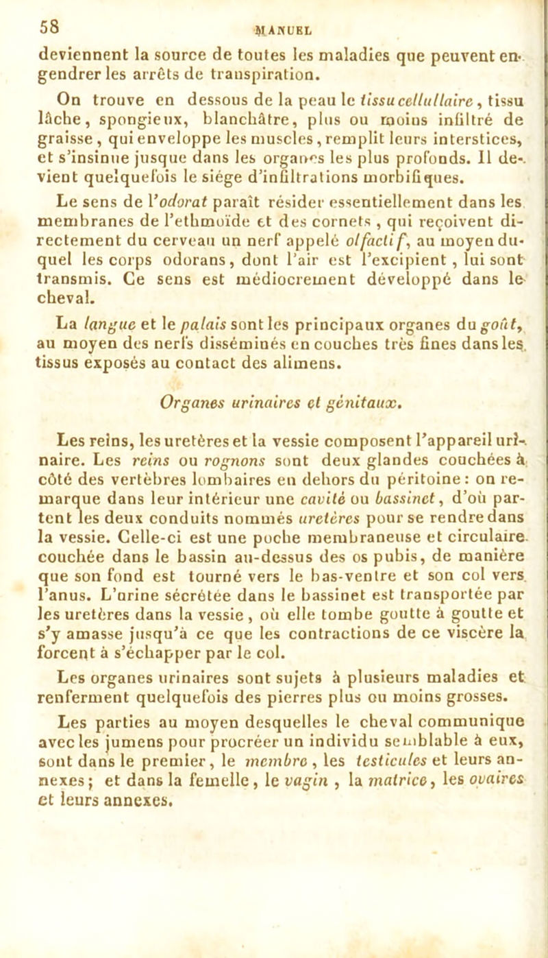 deviennent la source de toutes les maladies que peuvent en- gendrer les arrêts de transpiration. On trouve en dessous de la peau le tissu cellullaire, tissu lâche, spongieux, blanchâtre, plus ou rooius infiltré de graisse, qui enveloppe les muscles, remplit leurs interstices, et s’insinue jusque dans les organes les plus profonds. Il de-, vient quelquefois le siège d’infiltrations morbifiques. Le sens de Yodorat paraît résider essentiellement dans les membranes de l’ethmoïde et des cornets , qui reçoivent di- rectement du cerveau un nerf appelé olfactif', au moyeu du- quel les corps odorans,dont l’air est l’excipient, lui sont transmis. Ce sens est médiocrement développé dans 1& cheval. La langue et le palais sont les principaux organes du^oûf, au moyen des nerfs disséminés en couches très fines dans les, tissus exposés au contact des alimens. Organes urinaires et génitaux. Les reins, les uretères et la vessie composent l’appareil urî-. naire. Les reins ou rognons sont deux glandes couchées à, côté des vertèbres lombaires en dehors du péritoine: on re- marque dans leur intérieur une cavité ou bassinet, d’où par- tent les deux conduits nommés uretères pour se rendre dans la vessie. Celle-ci est une poche membraneuse et circulaire couchée dans le bassin au-dessus des os pubis, de manière que son fond est tourné vers le bas-ventre et son col vers, l’anus. L’nrine sécrétée dans le bassinet est transportée par les uretères dans la vessie , où elle tombe goutte à goutte et s’y amasse jusqu’à ce que les contractions de ce viscère la forcent à s’échapper par le col. Les organes urinaires sont sujets à plusieurs maladies et renferment quelquefois des pierres plus ou moins grosses. Les parties au moyen desquelles le cheval communique avec les jumens pour procréer un individu semblable à eux, 6ont dans le premier, le membre , les testicules et leurs an- nexes ; et dans la femelle, le vagin , la matrice, les ovaires et leurs annexes.