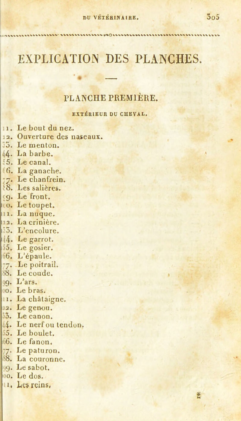 » , \ V\ Vt V» V» VX V^V V ». U*0 V\t%VAV»MlAVllliVt VtVAVAVt V» * %V\%\VkW ! , . I EXPLICATION DES PLANCHES. ■ • — PLANCHE PREMIÈRE. EXTERIEUR DU CUEVAL. 11. Le bout du nez. as. Ouverture des naseaux. 5. Le menton. 44. La barbe. :5. Le canal. 6. La ganache. 77. Le chanfrein. £8. Les salières. C9. Le front. 10. Le toupet, ni. La nuque. 32. La crinière. 5. L’encolure. 14. Le garrot. 55. Le gosier. 66. L’épaule. 77. Le poitrail. 88. Le coude. 99. L’ars. 00. Le bras. 11. La châtaigne. ^2. Le genou. 53. Le canon. 44- Le nerfou tendon. 55. Le boulet. 66. Le fanon. 77. Le paturon. 88. La couronne. 19. Le sabot. 00. Le dos. n. Les reins. g