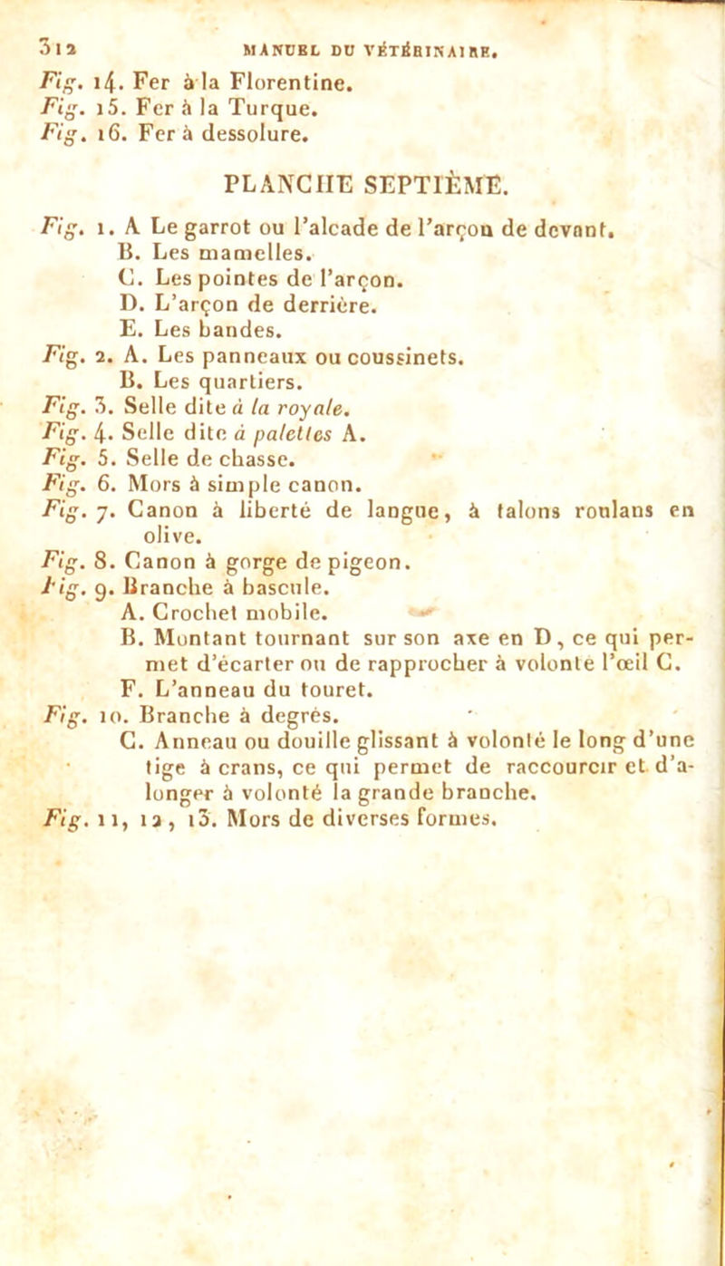 3li MANUEL DU VÉTÈBINA1RF. Fig. 14. Fer à la Florentine. Fi. i5. Fer h la Turque. Fig. 16. Fer à dessolure. PLANCHE SEPTIÈME. Fig. î. A Le garrot ou l’alcade de l'arçon de devant. B. Les mamelles. C. Les pointes de l’arçon. D. L’arçon de derrière. E. Les bandes. Fig. 2. A. Les panneaux ou coussinets. B. Les quartiers. Fig. 7). Selle dite à la royale. Fig. 4. Selle dite à palettes A. Fig. 5. Selle de chasse. Fig. 6. Mors à simple canon. Fig. y. Canon à liberté de langue, à talons roulans en olive. Fig. 8. C anon à gorge de pigeon. Fig. 9. Branche à bascule. A. Crochet mobile. B. Montant tournant sur son axe en D, ce qui per- met d’écarter ou de rapprocher à volonté l’œil C. F. L’anneau du touret. Fig. îo. Branche à degrés. C. Anneau ou douille glissant à volonté le long d’une tige à crans, ce qui permet de raccourcir et d’a- longer à volonté la grande branche. Fig. 11, la , i3. Mors de diverses formes.