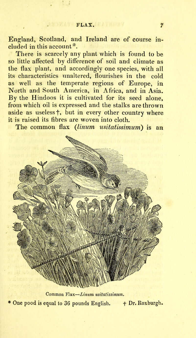 England, Scotland, and Ireland are of course in- cluded in this account*. There is scarcely any plant which is found to be so little affected by difference of soil and climate as the flax plant, and accordingly one species, with all its characteristics unaltered, flourishes in the cold as well as the temperate regions of Europe, in North and South America, in Africa, and in Asia. By the Hindoos it is cultivated for its seed alone, from which oil is expressed and the stalks are thrown aside as useless f, but in every other country where it is raised its fibres are woven into cloth. The common flax (linum usitatissimum') is an Common Flax—Linum usitatissimum. * One pood is equal to 36 pounds English. f Dr. Roxburgh.