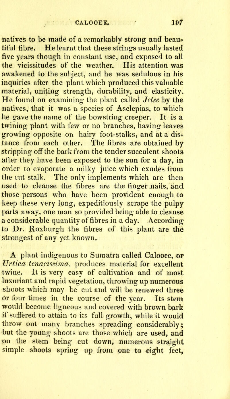 natives to be made of a remarkably strong and beau* tiful fibre. He learnt that these strings usually lasted five years though in constant use, and exposed to all the vicissitudes of the weather. His attention was awakened to the subject, and he was sedulous in his inquiries after the plant which produced this valuable material, uniting strength, durability, and elasticity. He found on examining the plant called Jetee by the natives, that it was a species of Asclepias, to which he gave the name of the bowstring creeper. It is a twining plant with few or no branches, having leaves growing opposite on hairy foot-stalks, and at a dis~ tance from each other. The fibres are obtained by stripping off the bark from the tender succulent shoots after they have been exposed to the sun for a day, in order to evaporate a milky juice which exudes from the cut stalk. The only implements which are then used to cleanse the fibres are the finger nails, and those persons who have been provident enough to keep these very long, expeditiously scrape the pulpy parts away, one man so provided being able to cleanse a considerable quantity of fibres in a day. According to Dr. Roxburgh the fibres of this plant are the strongest of any yet known. A plant indigenous to Sumatra called Calooee, or JJrtica tenacissima, produces material for excellent twine. It is very easy of cultivation and of most luxuriant and rapid vegetation, throwing up numerous shoots which may be cut and will be renewed three or four times in the course of the year. Its stem would become ligneous and covered with brown bark if suffered to attain to its full growth, while it would throw out many branches spreading considerably; but the young shoots are those which are used, and on the stem being cut down, numerous straight simple shoots spring up from one to eight feet,