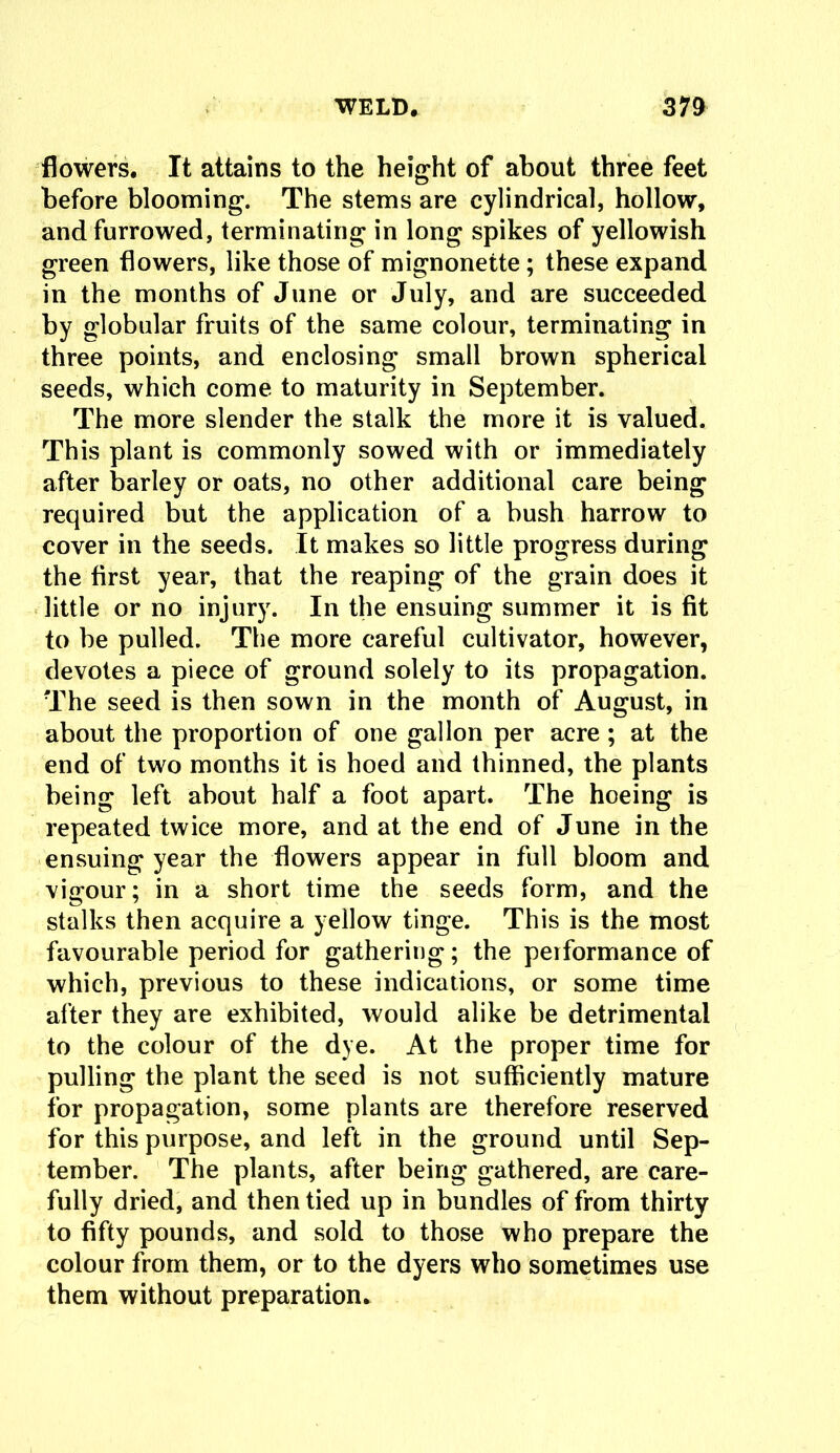 flowers. It attains to the height of about three feet before blooming. The stems are cylindrical, hollow, and furrowed, terminating in long spikes of yellowish green flowers, like those of mignonette ; these expand in the months of June or July, and are succeeded by globular fruits of the same colour, terminating in three points, and enclosing small brown spherical seeds, which come to maturity in September. The more slender the stalk the more it is valued. This plant is commonly sowed with or immediately after barley or oats, no other additional care being required but the application of a bush harrow to cover in the seeds. It makes so little progress during the first year, that the reaping of the grain does it little or no injury. In the ensuing summer it is fit to be pulled. The more careful cultivator, however, devotes a piece of ground solely to its propagation. The seed is then sown in the month of August, in about the proportion of one gallon per acre; at the end of two months it is hoed and thinned, the plants being left about half a foot apart. The hoeing is repeated twice more, and at the end of June in the ensuing year the flowers appear in full bloom and vigour; in a short time the seeds form, and the stalks then acquire a yellow tinge. This is the most favourable period for gathering; the performance of which, previous to these indications, or some time after they are exhibited, would alike be detrimental to the colour of the dye. At the proper time for pulling the plant the seed is not sufficiently mature for propagation, some plants are therefore reserved for this purpose, and left in the ground until Sep- tember. The plants, after being gathered, are care- fully dried, and then tied up in bundles of from thirty to fifty pounds, and sold to those who prepare the colour from them, or to the dyers who sometimes use them without preparation.