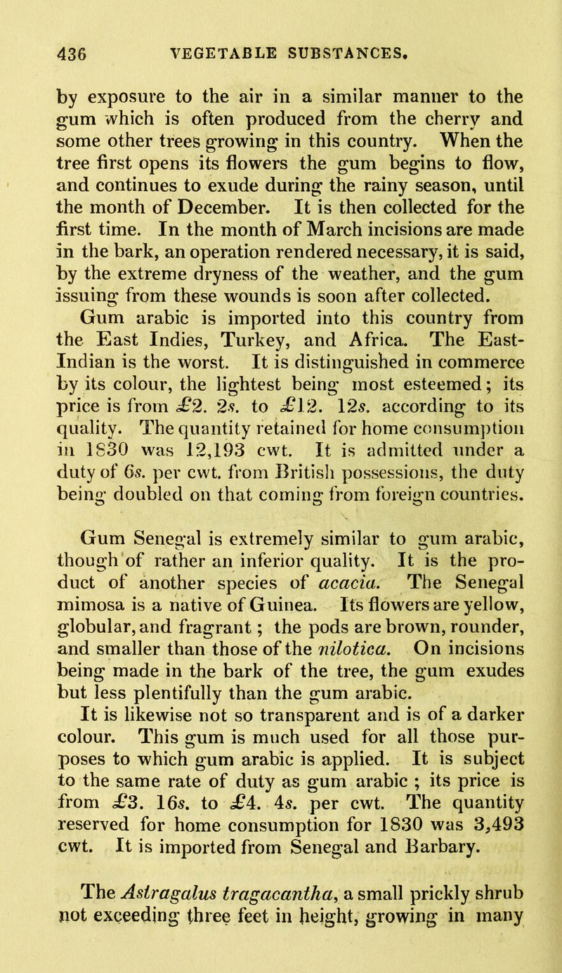by exposure to the air in a similar manner to the gum which is often produced from the cherry and some other trees growing in this country. When the tree first opens its flowers the gum begins to flow, and continues to exude during the rainy season, until the month of December. It is then collected for the first time. In the month of March incisions are made in the bark, an operation rendered necessary, it is said, by the extreme dryness of the weather, and the gum issuing from these wounds is soon after collected. Gum arabic is imported into this country from the East Indies, Turkey, and Africa. The East- Indian is the worst. It is distinguished in commerce by its colour, the lightest being most esteemed; its price is from £2. 2s. to £12. 12s. according to its quality. The quantity retained for home consumption in 1830 was 12,193 cwt. It is admitted under a duty of 6s. per cwt. from British possessions, the duty being doubled on that coming from foreign countries. Gum Senegal is extremely similar to gum arabic, though of rather an inferior quality. It is the pro- duct of another species of acacia. The Senegal mimosa is a native of Guinea. Its flowers are yellow, globular, and fragrant; the pods are brown, rounder, and smaller than those of the nilotica. On incisions being made in the bark of the tree, the gum exudes but less plentifully than the gum arabic. It is likewise not so transparent and is of a darker colour. This gum is much used for all those pur- poses to which gum arabic is applied. It is subject to the same rate of duty as gum arabic ; its price is from £3. 16$. to £4. 4$. per cwt. The quantity reserved for home consumption for 1830 was 3,493 cwt. It is imported from Senegal and Barbary. The Astragalus tragacantha, a small prickly shrub not exceeding three feet in height, growing in many