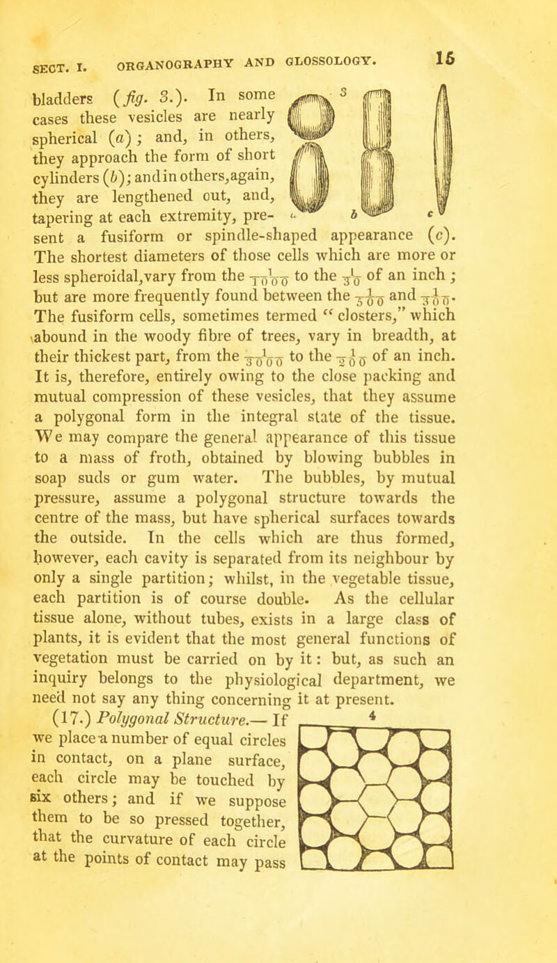 bladders {fig- 3.). In some cases these vesicles are nearly ffi JjB spherical (a); and, in others, they approach the form of short cylinders (6); andin others,again, | || they are lengthened out, and, tapering at each extremity, pre- <• sent a fusiform or spindle-shaped appearance (c). The shortest diameters of those cells which are more or less spheroidal,vary from the yo\, o i but are more frequently found between the and The fusiform cells, sometimes termed “ closters,” which '.abound in the woody fibre of trees, vary in breadth, at their thickest part, from the -g-gW the of an inch. It is, therefore, entirely owing to the close packing and mutual compression of these vesicles, that they assume a polygonal form in the integral slate of the tissue. W e may compare the general appearance of this tissue to a mass of froth, obtained by blowing bubbles in soap suds or gum water. The bubbles, by mutual pressure, assume a polygonal structure towards the centre of the mass, but have spherical surfaces towards the outside. In the cells which are thus formed, however, each cavity is separated from its neighbour by only a single partition; whilst, in the vegetable tissue, each partition is of course double. As the cellular tissue alone, without tubes, exists in a large class of plants, it is evident that the most general functions of vegetation must be carried on by it: but, as such an inquiry belongs to the physiological department, we need not say any thing concerning it at present. (17.) Polygonal Structure.— If we place-a number of equal circles in contact, on a plane surface, each circle may be touched by six others; and if we suppose them to be so pressed together, that the curvature of each circle at the points of contact may pass