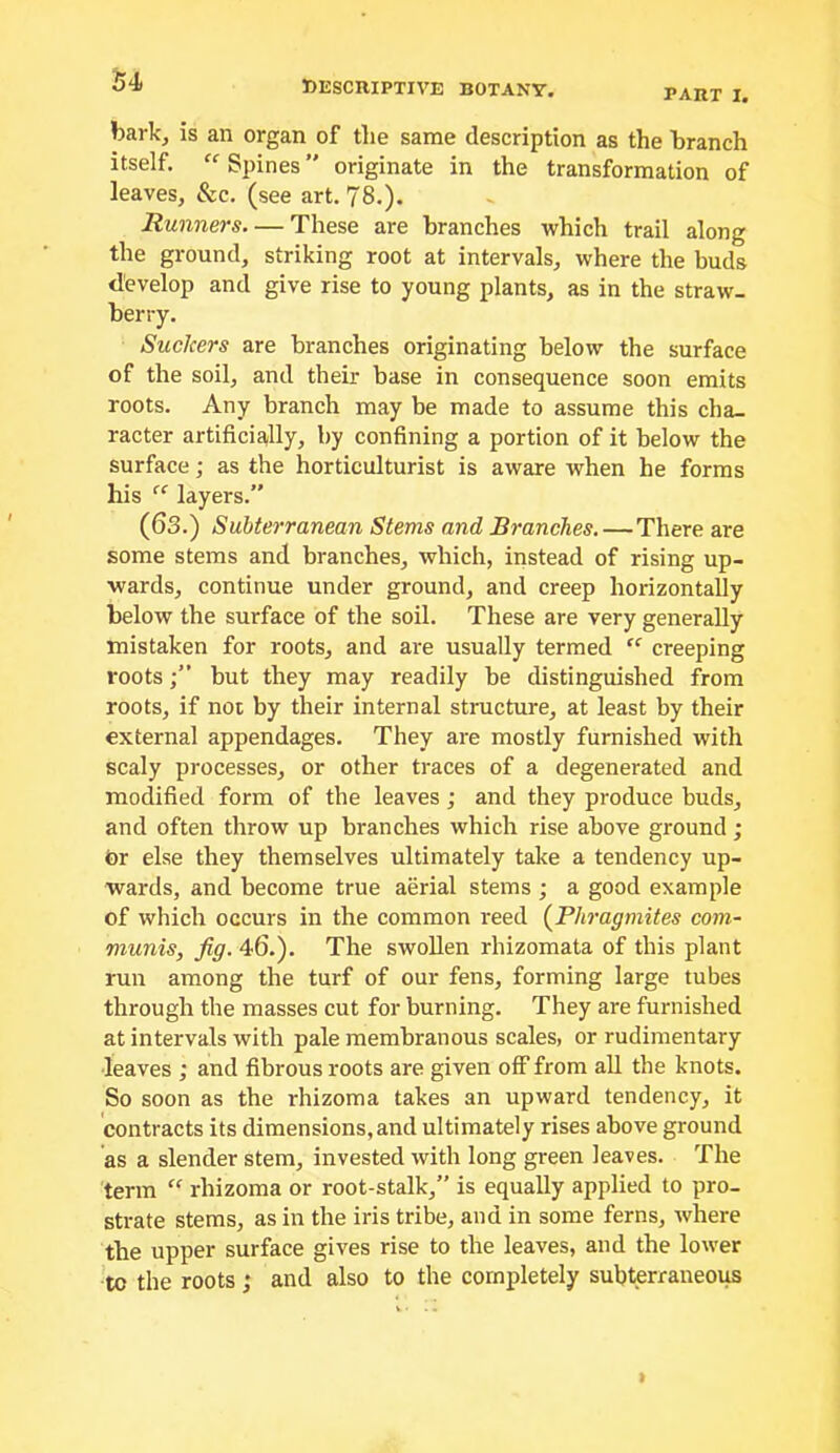 PART I. bark^ is an organ of the same description as the branch itself.  Spines ” originate in the transformation of leaves, &c. (see art. 78.). Runners These are branches which trail along the ground, striking root at intervals, where the buds develop and give rise to young plants, as in the straw- berry. Suckers are branches originating below the surface of the soil, and their base in consequence soon emits roots. Any branch may be made to assume this cha- racter artificially, by confining a portion of it below the surface; as the horticulturist is aware when he forms his ” layers.” (63.) Subterranean Stems and Branches. — There are some stems and branches, which, instead of rising up- wards, continue under ground, and creep horizontally below the surface of the soil. These are very generally mistaken for roots, and are usually termed “ creeping rootsbut they may readily be distinguished from roots, if not by their internal structure, at least by their external appendages. They are mostly furnished with scaly processes, or other traces of a degenerated and modified form of the leaves; and they produce buds, and often throw up branches which rise above ground; for else they themselves ultimately take a tendency up- wards, and become true aerial stems ; a good example of which occurs in the common reed (^Phragmites com- munis, Jig. 46.). The swollen rhizomata of this plant run among the turf of our fens, forming large tubes through the masses cut for burning. They are furnished at intervals with pale membranous scales, or rudimentary leaves ; and fibrous roots are given off from aU the knots. So soon as the rhizoma takes an upward tendency, it contracts its dimensions, and ultimately rises above ground as a slender stem, invested with long green leaves. The term “ rhizoma or root-stalk,” is equally applied to pro- strate stems, as in the iris tribe, and in some ferns, where the upper surface gives rise to the leaves, and the lower to the roots; and also to the completely subterraneous