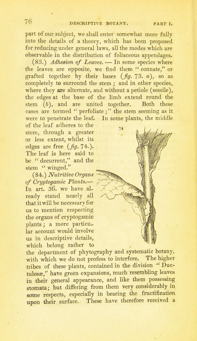 DESCRIPTIVE BOTANY. PART I. part of our subject, we shall enter somewhat more fully into the details of a theory, which has been proposed for reducing under general laws, all the modes which are observable in the distribution of foliaceous appendages. (83.) Adhesion of Leaves. — In some species where the leaves are opposite, we find them connate,” or grafted together by their bases {fig. 73. a), so as completely to surround the stem; and in other species, where they are alternate, and without a petiole (sessile), the edges at the base of the limb extend round the stem (6), and are united together. Both these cases are termed perfoliate; ” the stem seeming as it were to penetrate the leaf. In some plants, the middle of the leaf adheres to the stem, through a greater or less extent, whilst its edges are free {fig. 74-.). The leaf is here said to be “ decurrent,” and the stem “ winged.” (84.) Nutritive Organs of Cryptogamic Plants.— In art. 36. we have al- ready stated nearly aU that it will be necessary for us to mention respecting the organs of cryptogamic plants; a more particu- lar account would involve us in descriptive details, which belong rather to the department of phytography and systematic botany, with which we do not profess to interfere. The higher tribes of these plants, contained in the division “ Duc- tulosoe,’’ have green expansions, much resembhng leaves in their general appearance, and hke them possessing stomata; but differing from them very considerably in some respects, especially in bearing the fructification upon their surface. These have therefore received a