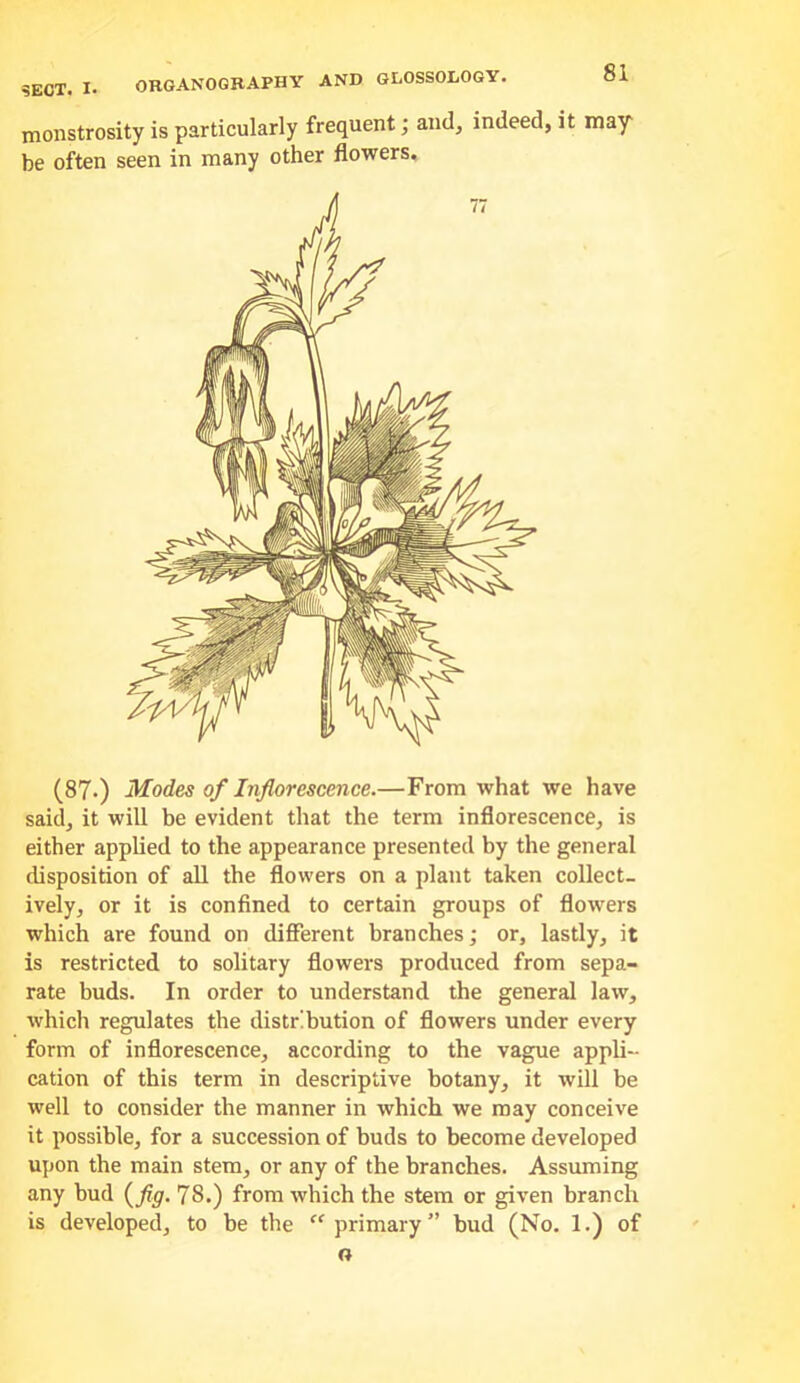 monstrosity is particularly frequent; and, indeed, it may be often seen in many other flowers. (87.) Modes of Inflorescence.—From what we have said, it will be evident that the term inflorescence, is either applied to the appearance presented by the general disposition of all the flowers on a plant taken collect- ively, or it is confined to certain groups of flowers which are found on different branches; or, lastly, it is restricted to solitary flowers produced from sepa- rate buds. In order to understand the general law, which regulates the distribution of flowers under every form of inflorescence, according to the vague appli- cation of this term in descriptive botany, it Avill be well to consider the manner in which we may conceive it possible, for a succession of buds to become developed upon the main stem, or any of the branches. Assuming any bud (^flg. 78.) from which the stem or given branch is developed, to be the primary” bud (No. 1.) of