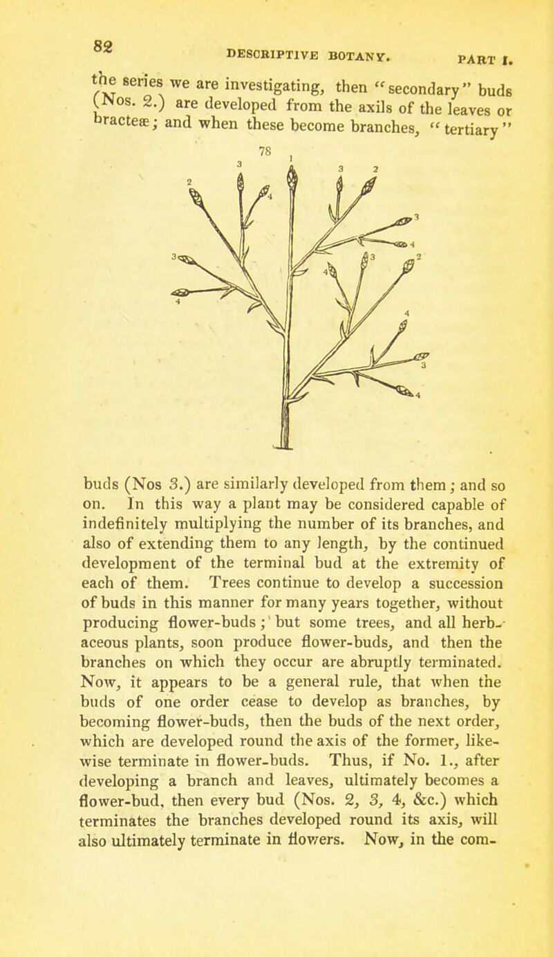 descriptive botanv. part I. the series we are investigating, then “secondary” buds ^INos. 2.) are developed from the axils of the leaves or ractees; and when these become branches, “tertiary” buds (Nos 3.) are similarly developed from them; and so on. In this way a plant may be considered capable of indefinitely multiplying the number of its branches, and also of extending them to any length, by the continued development of the terminal bud at the extremity of each of them. Trees continue to develop a succession of buds in this manner for many years together, without producing flower-buds ;' but some trees, and aU herb- aceous plants, soon produce flower-buds, and then the branches on which they occur are abruptly terminated. Now, it appears to be a general rule, that when the buds of one order cease to develop as branches, by becoming flower-buds, then the buds of the next order, which are developed round the axis of the former, like- wise terminate in flower-buds. Thus, if No. 1., after developing a branch and leaves, ultimately becomes a flower-bud, then every bud (Nos. 2, 3, 4, &c.) which terminates the branches developed round its axis, will also ultimately terminate in flov/ers. Now, in the com-