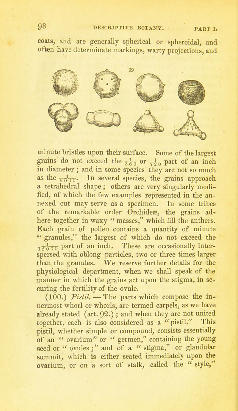 coats, and are generally spherical or spheroidal, and often have determinate markings, warty projections, and minute bristles upon their surface. Some of the largest grains do not exceed the or part of an inch in diameter; and in some species they are not so much as the several species, the grains approach a tetrahedral shape; others are very singularly modi- fied, of which the few examples represented in the an- nexed cut may serve as a specimen. In some tribes of the remarkable order Orchideae, the grains ad- here together in waxy “ masses,” which fill the anthers. Each grain of pollen contains a quantity of minute granules,” the largest of which do not exceed the 13^0 inch. These are occasionally inter- spersed with oblong particles, two or three times larger than the granules. We reserve further details for the physiological department, when we shall speak of the manner in which the grains act upon the stigma, in se- curing the fertility of the ovule. (100.) Pistil. — The parts which compose the in- nermost whorl or whorls, are termed carpels, as we have already stated (art. 92.) ; and when they are not united together, each is also considered as a ‘^pistil.” This pistil, whether simple or compound, consists essentially of an “ ovarium” or “ germen,” containing the young seed or “ ovules ; ” and of a “ stigma,” or glandular summit, which is either seated immediately upon the ovarium, or on a sort of stalk, called the “ style,”