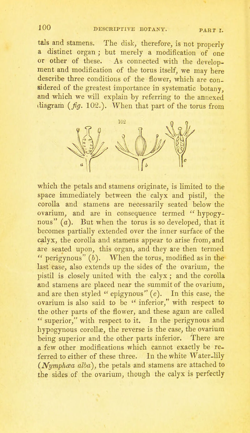 PART I. tals and stamens. The disk, therefore, is not properly a distinct organ; but merely a modification of one or other of these. As connected with the develop- ment and modification of the torus itself, we may here describe three conditions of the flower, which are con- sidered of the greatest importance in systematic botany, and which we will explain by referring to the annexed diagram (Jiff. 102.), When that part of the torus from which the petals and stamens originate, is limited to the space immediately between the calyx and pistil, the corolla and stamens are necessarily seated below the ovarium, and are in consequence termed hypogy- nous” (a). But when the torus is so developed, that it becomes partially extended over the inner surface of the calyx, the corolla and stamens appear to arise from, and are seated upon, this organ, and they are then termed perigynous” (b). When the torus, modified as in the last case, also extends up the sides of the ovarium, the pistil is closely united with the calyx; and the coroUa and stamens are placed near the summit of the ovarium, and are then styled “ epigynous” (c). In this case, the ovarium is also said to be “ inferior,” with respect to the other parts of the flower, and these again are called “ superior,” with respect to it. In the perigynous and hypogynous corollae, the reverse is the case, the ovarium being superior and the other parts inferior. There are a few other modifications which cannot exactly be re- ferred to either of these three. In the white 'Water-lily (Nymphcea alba), the petals and stamens are attached to the sides of the ovarium, though the calyx is perfectly