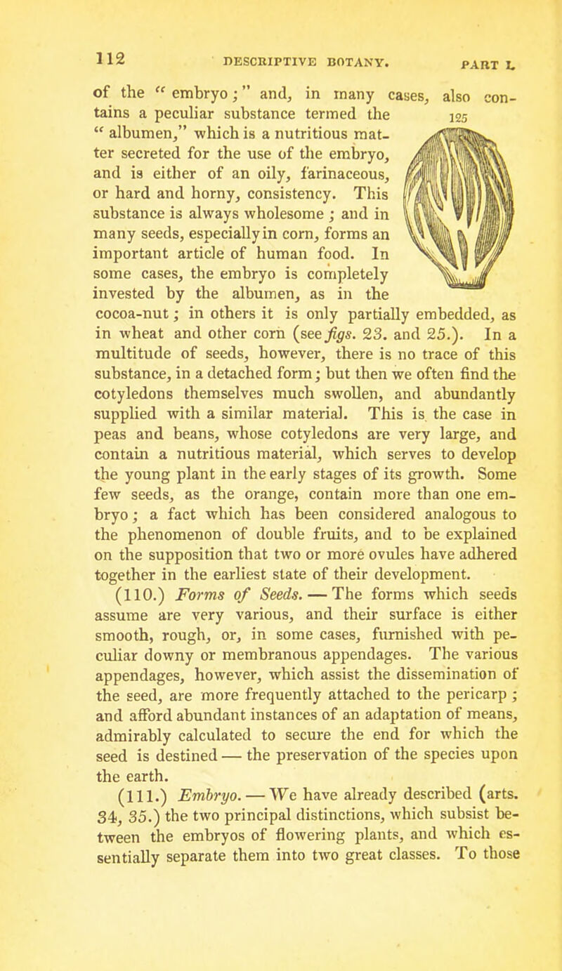 PART L of the “ embryo; ” and, in many cases, also con- tains a peculiar substance termed the “ albumen,” which is a nutritious mat- ter secreted for the use of the embryo, and is either of an oily, farinaceous, or hard and horny, consistency. This substance is always wholesome ; and in many seeds, especially in corn, forms an important article of human food. In some cases, the embryo is completely invested by the albumen, as in the cocoa-nut; in others it is only partially embedded, as in wheat and other corn {seejfigs. 23. and 25.). In a multitude of seeds, however, there is no trace of this substance, in a detached form; but then we often find the cotyledons themselves much swollen, and abundantly supplied with a similar material. This is the case in peas and beans, whose cotyledons are very large, and contain a nutritious materid, which serves to develop the young plant in the early stages of its growth. Some few seeds, as the orange, contain more than one em- bryo ; a fact which has been considered analogous to the phenomenon of double fruits, and to be explained on the supposition that two or more ovules have adhered together in the earliest state of their development. (110.) Forms of Seeds. — The forms which seeds assume are very various, and their surface is either smooth, rough, or, in some cases, furnished with pe- culiar downy or membranous appendages. The various appendages, however, which assist the dissemination of the seed, are more frequently attached to the pericarp ; and afford abundant instances of an adaptation of means, admirably calculated to secure the end for which the seed is destined — the preservation of the species upon the earth. (111.) Embryo. — We have already described (arts. 34, 35.) the two principal distinctions, which subsist be- tween the embryos of flowering plants, and which es- sentially separate them into two great classes. To those