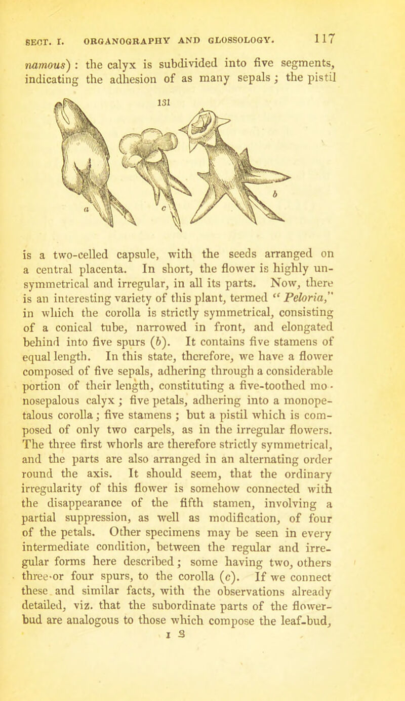namous) : the calyx is subdivided into five segments, indicating the adhesion of as many sepals ; the pistil is a two-celled capsule, with the seeds arranged on a central placenta. In short, the flower is highly un- symmetrical and irregular, in all its parts. Now, there is an interesting variety of this plant, termed “ Peloria, in which the corolla is strictly symmetrical, consisting of a conical tube, narrowed in front, and elongated behind into five spurs (6). It contains five stamens of equal length. In this state, therefore, we have a flower composed of five sepals, adhering through a considerable portion of their length, constituting a five-toothed mo • nosepalous calyx ; five petals, adhering into a monope- talous corolla; five stamens ; but a pistil which is com- posed of only two carpels, as in the irregular flowers. The three first whorls are therefore strictly symmetrical, and the parts are also arranged in an alternating order round tlie axis. It should seem, that the ordinary irregularity of this flower is somehow connected with the disappearance of the fifth stamen, involving a partial suppression, as well as modification, of four of the petals. Other specimens may be seen in every intermediate condition, between the regular and irre- gular forms here described; some having two, others three-or four spurs, to the corolla (c). If we connect these and similar facts, with the observations already detailed, viz. that the subordinate parts of the flower- bud are analogous to those which compose the leaf-bud,