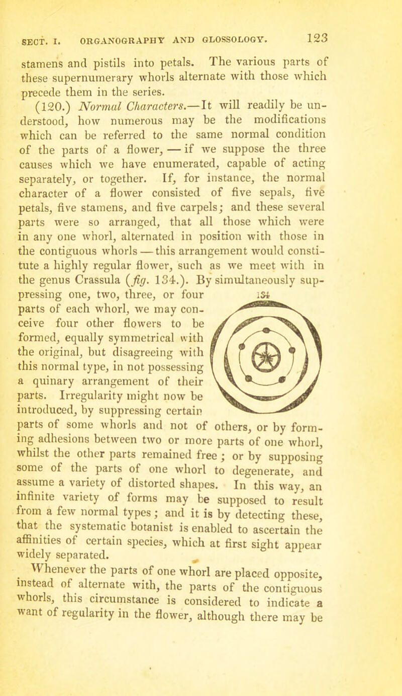 SECT. I. ORGANOGRAPHY AND GLOSSOLOGY, Stamens and pistils into petals. The various parts of these supernumerary whorls alternate with those which precede them in the series. (120.) Normal Characters.—It will readily be un- derstood, how numerous may he the modifications which can be referred to the same normal condition of the parts of a flower, — if we suppose the three causes which we have enumerated, capable of acting separately, or together. If, for instance, the normal character of a flower consisted of five sepals, five petals, five stamens, and five carpels; and these several parts were so arranged, that all those which were in any one whorl, alternated in position with those in the contiguous whorls — this arrangement would consti- tute a highly regular flower, such as we meet with in the genus Crassula (^fig. 134.). By simultaneously sup- pressing one, two, three, or four iSi parts of each whorl, we may con- ceive four other flowers to be formed, equally symmetrical with the original, but disagreeing with this normal type, in not possessing a quinary arrangement of their parts. Irregularity might now be introduced, by suppressing certain parts of some whorls and not of others, or by form- ing adhesions between two or more parts of one whorl, whilst the other parts remained free ; or by supposing some of the parts of one whorl to degenerate, and assume a variety of distorted shapes. In this way, an infinite variety of forms may be supposed to result from a few normal types; and it is by detecting these, that the systematic botanist is enabled to ascertain the affinities of certain species, which at first sight appear widely separated. Whenever the parts of one whorl are placed opposite, instead of alternate with, the parts of the contiguous whorls, this circumstance is considered to indicate a want of regularity in the flower, although there may be