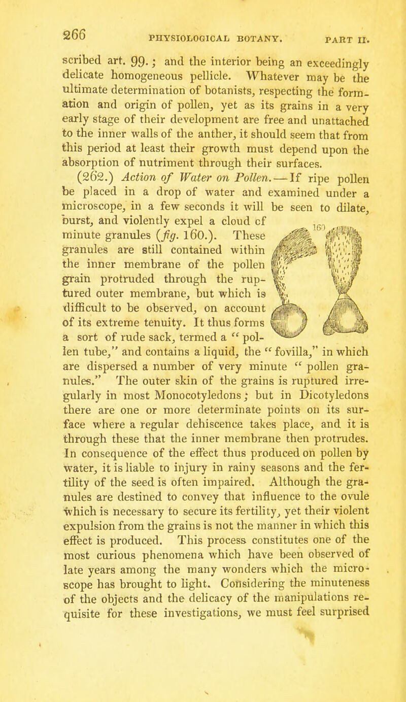 PHYSIOLOGICAL BOTANY. PART II. scribed art. gg.; and the interior being an exceedingly delicate homogeneous pellicle. Whatever may be the ultimate determination of botanists, respecting the form- ation and origin of pollen, yet as its grains in a very early stage of their development are free and unattached to the inner walls of the anther, it should seem that from this period at least their growth must depend upon the absorption of nutriment through their surfaces. (262.) Action of Water on Pollen. — If ripe pollen be placed in a drop of water and examined under a microscope, in a few seconds it will be seen to dilate, burst, and violently expel a cloud cf minute granules (Jig. 16O.). These granules are still contained within the inner membrane of the pollen grain protruded through the rup- tured outer membrane, but which is difficult to be observed, on account of its extreme tenuity. It thus forms a sort of rude sack, termed a “ pol- len tube,” and contains a liquid, tbe “ fovilla,” in which are dispersed a number of very minute “ pollen gra- nules.” The outer skin of the grains is ruptured irre- gularly in most Monocotyledons; but in Dicotyledons there are one or more determinate points on its sur- face where a regular dehiscence takes place, and it is through these that the inner membrane then protrudes. In consequence of the effect thus produced on pollen by water, it is liable to injury in rainy seasons and the fer- tility of the seed is often impaired. Although the gra- nules are destined to convey that influence to the ovule which is necessary to secure its fertility, yet their violent expulsion from the grains is not the manner in which this effect is produced. This process constitutes one of the most curious phenomena which have been observed of late years among the many wonders which the micro- scope has brought to light. Considering the minuteness of the objects and the dehcacy of the manipulations re- quisite for these investigations, we must feel surprised