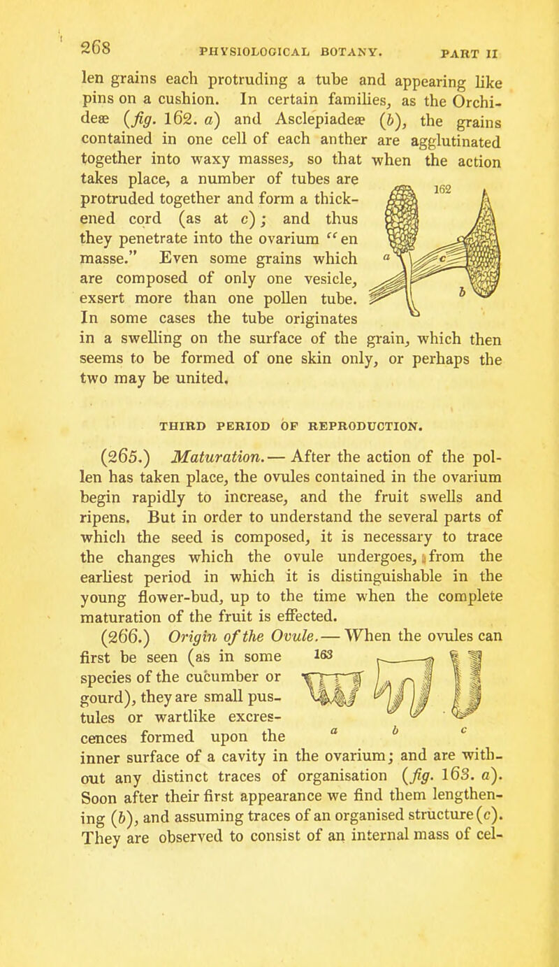 PHYSIOLOGICAL BOTANY. PART II len grains each protruding a tube and appearing like pins on a cushion. In certain famiUes^ as the Orchi- dese (^fig. l62. a) and Asclepiadese (b'), the grains contained in one cell of each anther are agglutinated together into waxy masses, so that when the action takes place, a number of tubes are protruded together and form a thick- ened cord (as at c); and thus they penetrate into the ovarium “ en masse.” Even some grains which are composed of only one vesicle, exsert more than one poUen tube. In some cases the tube originates in a swelling on the surface of the grain, which then seems to be formed of one skin only, or perhaps the two may be united. THIRD PERIOD OP REPRODUCTION. (265.) Maturation.— After the action of the pol- len has taken place, the ovules contained in the ovarium begin rapidly to increase, and the fruit swells and ripens. But in order to understand the several parts of whicli the seed is composed, it is necessary to trace the changes which the ovule undergoes, j from the earliest period in which it is distinguishable in the young flower-bud, up to the time when the complete maturation of the fruit is eflfected. (266.) Origin of the Ovule. — When the ovules can first be seen (as in some tss species of the cucumber or 'CXT'T gourd), they are small pus- tules or wartlike excres- cences formed upon the “ inner surface of a cavity in the ovarium; and are with- out any distinct traces of organisation {fig. l63. a). Soon after their first appearance we find them lengthen- ing (6), and assuming traces of an organised structure (c). They are observed to consist of an internal mass of cel-