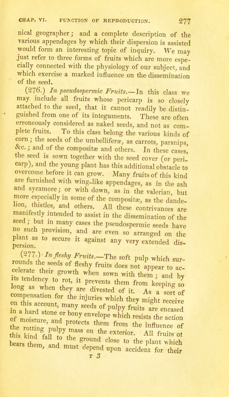 nical geographer; and a complete description of the various appendages by which their dispersion is assisted would form an interesting topic of inquiry. We may just refer to three forms of fruits which are more espe- cially connected with the physiology of our subject, and which exercise a marked influence on the dissemination of the seed. (276.) In pseudospermic Fruits.—this class we may include all fruits whose pericarp is so closely attached to the seed, that it cannot readily be distin- guished from one of its integuments. These are often erroneously considered as naked seeds, and not as com- plete fruits. To this class belong the various kinds of corn; the seeds of the umbelliferae, as carrots, parsnips, &c.; and of the compositie and others. In these cases, the seed is sown together with the seed cover (or peri- carp), and the young plant has this additional obstacle to overcome before it can grow. Many fruits of this kind are furnished with wing.like appendages, as in the ash and sycamore; or with down, as in the valerian, but more especially in some of the compositse, as the dande- lion, thistles, and others. All these contrivances are manifestly intended to assist in the dissemination of the seed; but m many cases the pseudospermic seeds have 0 such provision, and are even so arranged on the plant as to secure it against any very extended dis- jMcioion# ' In fleshy Fruils—The soft pulp which sur- pouuds the seeds of fleshy fruips does not ^ppesr to celerate thetr growth when sown with them; and by ts tendency to rot, it preyents them from keeping so long as when they are diyested of it. As a sor! of compensatton for the injuries which they might “ceiyc in a hid Ze“’„:r^ *aeds of pulpy fruits L encald m a hard stone or bony envelope whieh resists the action th's Mud f.r ™ All fruits ot bears them anH ^ S™™d close to the plant which bears them, and must depend upon accident for their