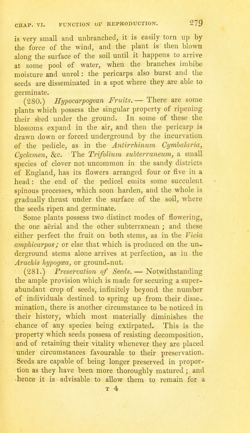 is very small and unbranched, it is easily torn up by the force of the wind, and the plant is then blown along the surface of the soil until it happens to arrive at some pool of water, when the branches imbibe moisture and unrol: the pericarps also burst and the seeds are disseminated in a spot where they are able to germinate. (280.) Hypocarpogean Fruits. — There are some plants which possess the singular property of ripening their shed under the ground. In some of these the blossoms expand in the air, and then the pericarp is drawn down or forced underground by the incurvation of the pedicle, as in the Antirrhinum Cymbaluria, Cyclamen, &c. The Trifolium subterraneum, a small species of clover not uncommon in the sandy districts of England, has its flowers arranged four or five in a head: the end of the pedicel emits some succulent spinous processes, which soon harden, and the whole is gradually thrust under the surface of the soil, wdiere the seeds ripen and germinate. Some plants possess two distinct modes of flowering, the one aerial and the other subterranean ; and these either perfect the fruit on both stems, as in the Vida amphicarpos; or else that which is produced on the un- derground stems alone arrives at perfection, as in the Arachis hypogoea, or ground-nut. (281.) Preservation of Seeds. — Notwithstanding the ample provision which is made for securing a super- abundant crop of seeds, infinitely beyond the number of individuals destined to spring up from their disse- mination, there is another circumstance to be noticed in their history, which most materially diminishes the chance of any species being extirpated. This is the property which seeds possess of resisting decomposition, and of retaining their vitality whenever they are placed under circumstances favourable to their preservation. Seeds are capable of being longer preserved in propor- tion as they have been more thoroughly matured; and ■hence it is advisable to allow them to remain for a