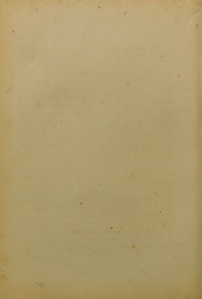 1.- - . ' .S : . ► ■ ■ ...•■\??. ' . ■ S' ' / »< • -.../,• f V • '♦ i 1
